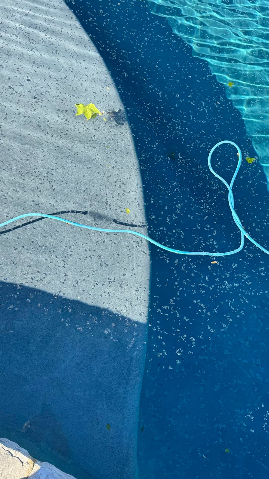 TidyMister Pool Skimmer Net with Self-Repair Fine Nylon Mesh Bag, Pool Leaf Rake for Above Ground Pools & In-ground Pools, Pool Nets for Cleaning - Original Series(No Pole) customer photo 2