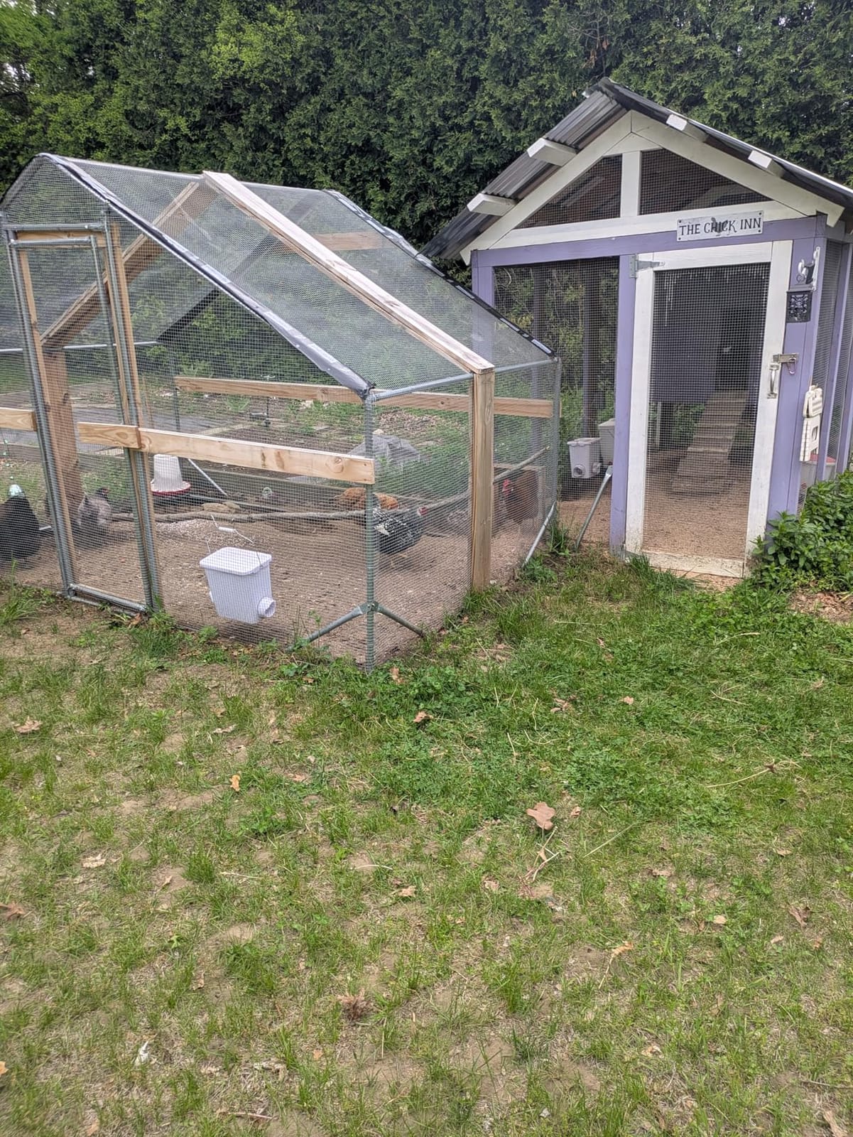 CHIKENCOOP 19.5x9.8x6.5 ft Metal Chicken Coop, Chicken Run with Cover customer photo 1