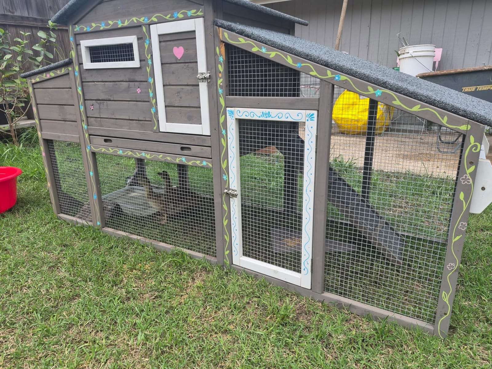 Ketive Large Wooden Chicken Coop with Run and Wheels, Grey | On Wheels, 2 Nesting Box, Pull-Out Tray, For 1-3 Hens, Chicken Coop with Run, Easy Clean Pull-Out Tray, Backyard Use customer photo 1