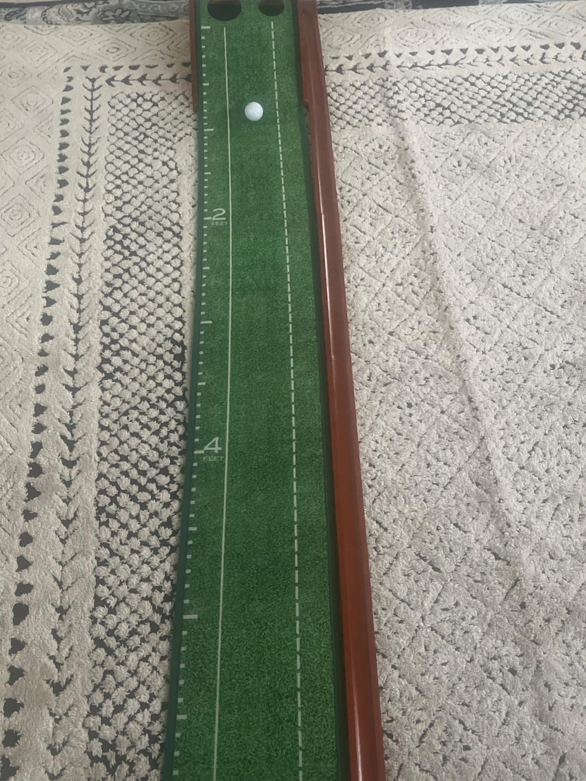 Golf Putting Mat, Putting Green Indoor with Ball Return - Golf Gifts for Men Christmas, Golf Training Aid for Home Office, Portable Putting Training Mat for Men customer photo 2