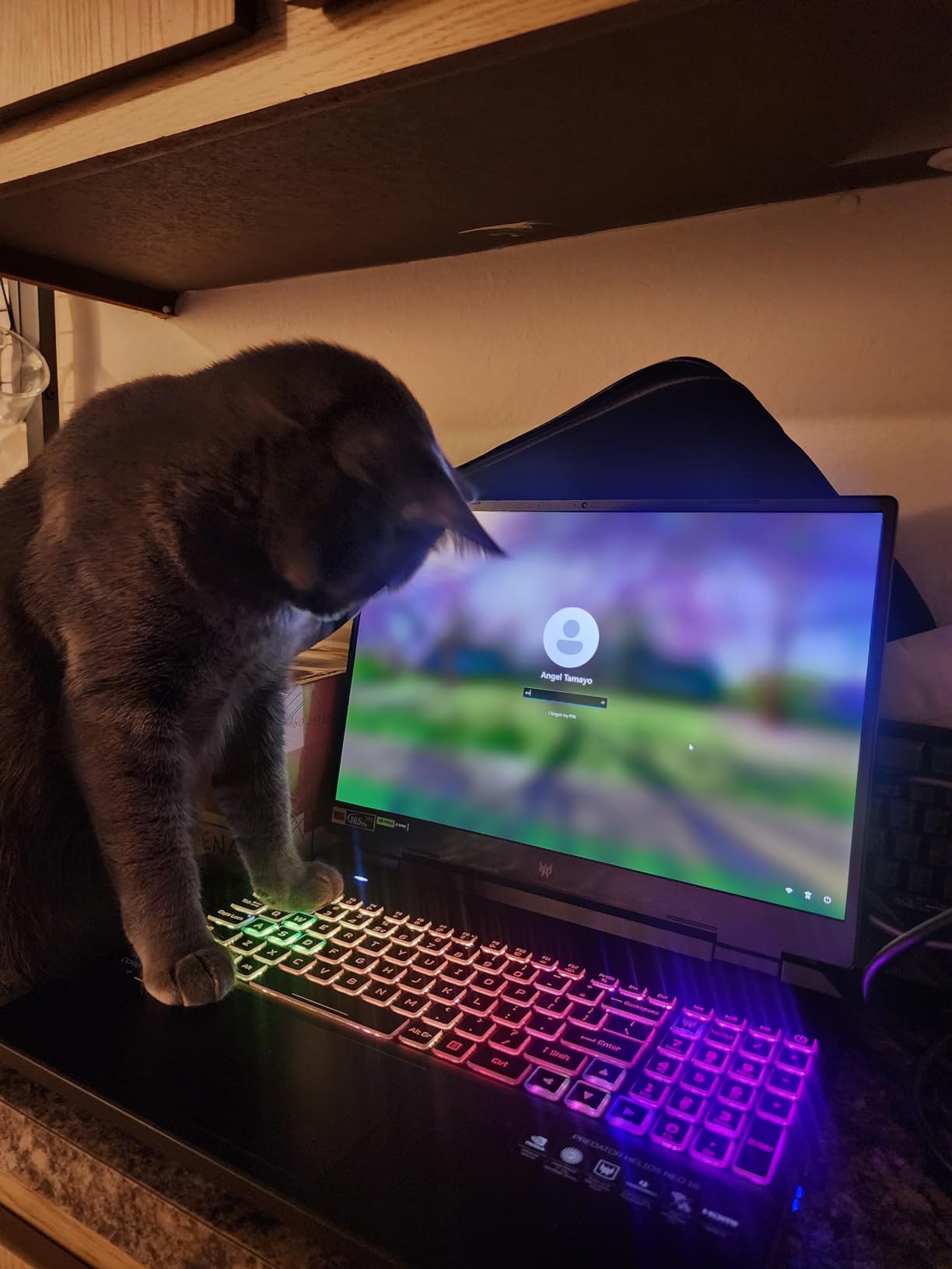 Acer Predator Helios 16 Gaming Laptop | 13th Gen Intel Core i7-13700HX | NVIDIA GeForce RTX 4060 | 16
