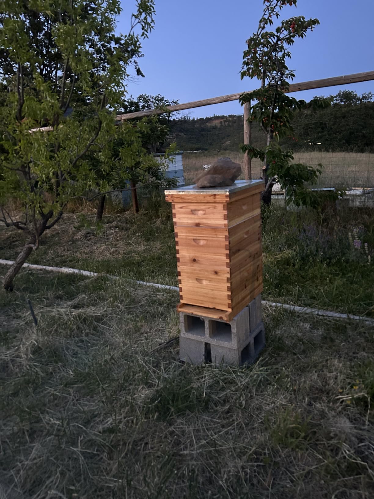 Honey Lake 8-Frame Langstroth Beehive Starter Kit, Beeswax-Coated Hive Boxes with 2 Deep Brood Boxes & 1 Medium Super, Includes Wooden Frames & Waxed Foundations, Complete Beekeeping Kit for Beginners customer photo 2