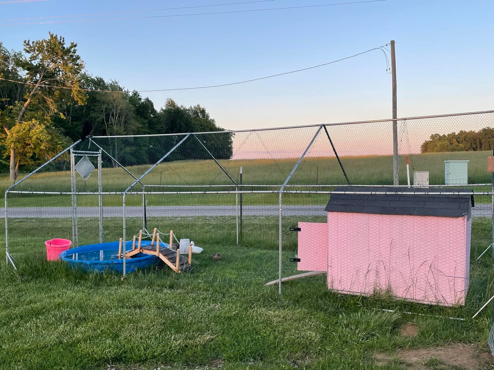 Large Metal Chicken Run Walk-in Poultry Cage Spire-Shaped Chicken Coop with Waterproof and Anti-Ultraviolet Cover for Outside,Backyard and Farm,19.6' L x 9.8' W x 6.4' H customer photo 1