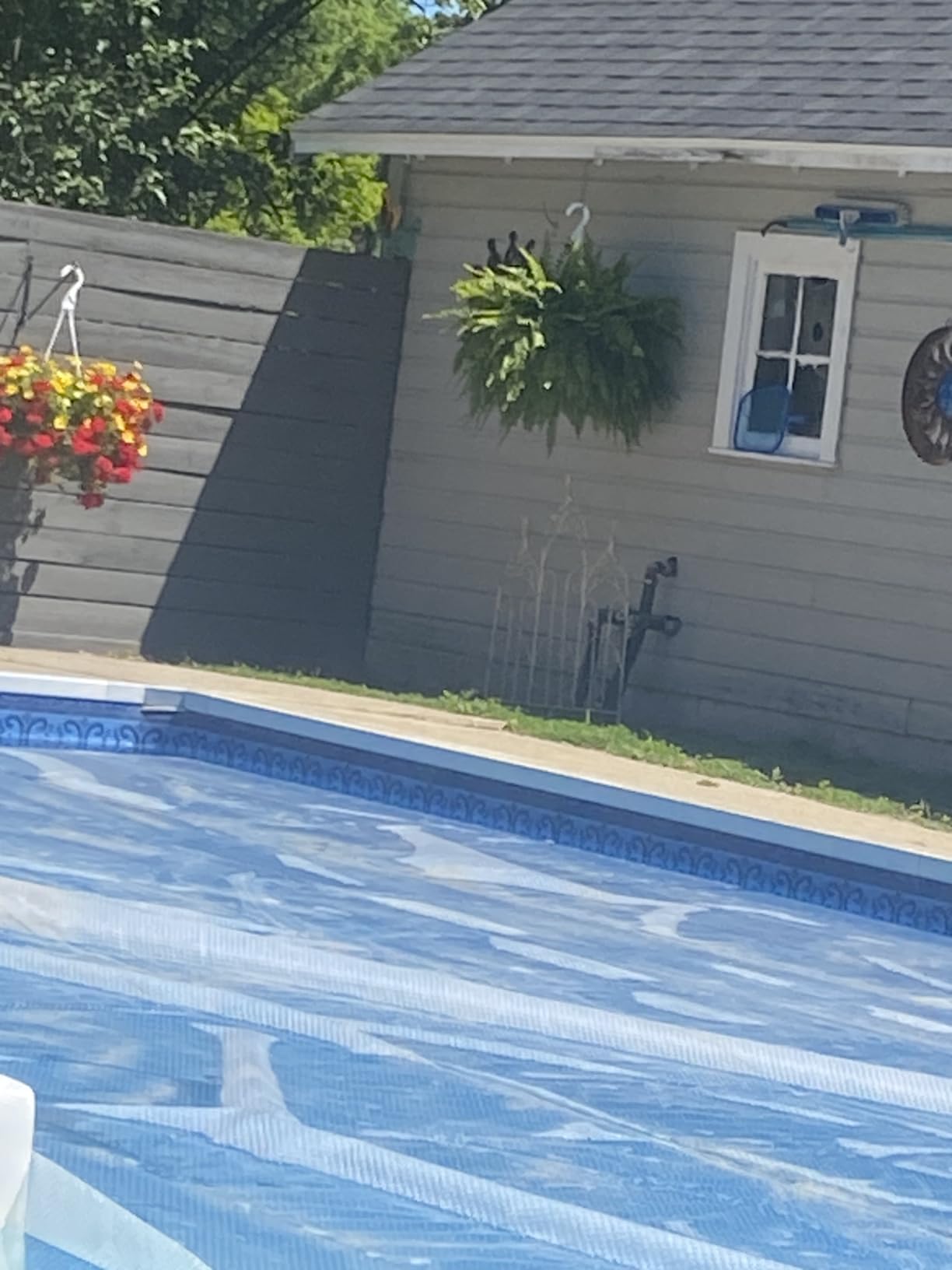 SunHeater Pool Solar Blanket - Heavy Duty Rectangular Thermal Cover with Bubbles - Heat Transfer Solar Pool Heater for In-Ground Swimming Pools - Durable 12 Mil Thick Polyethylene - 16' x 32' Feet customer photo 2