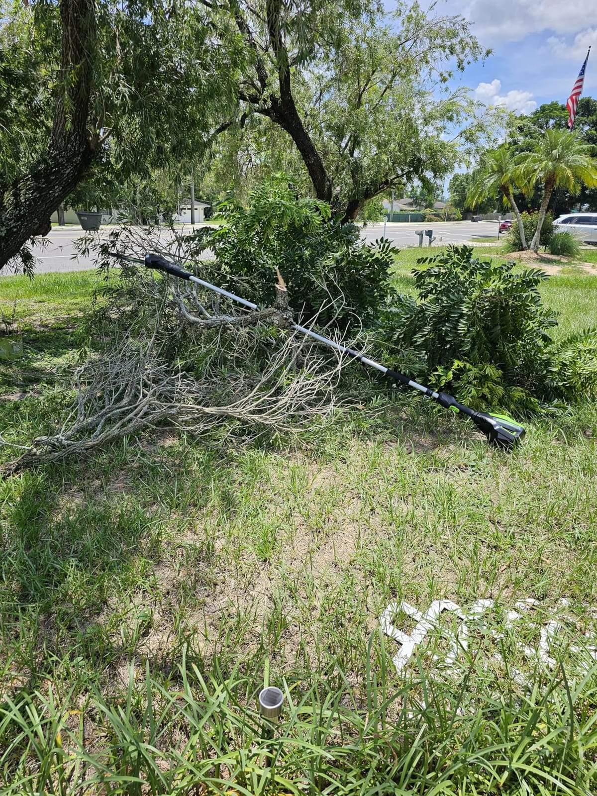 Greenworks 60V 10 in Electric Pole Saw, 2.0 Ah Battery and Charger customer photo 2