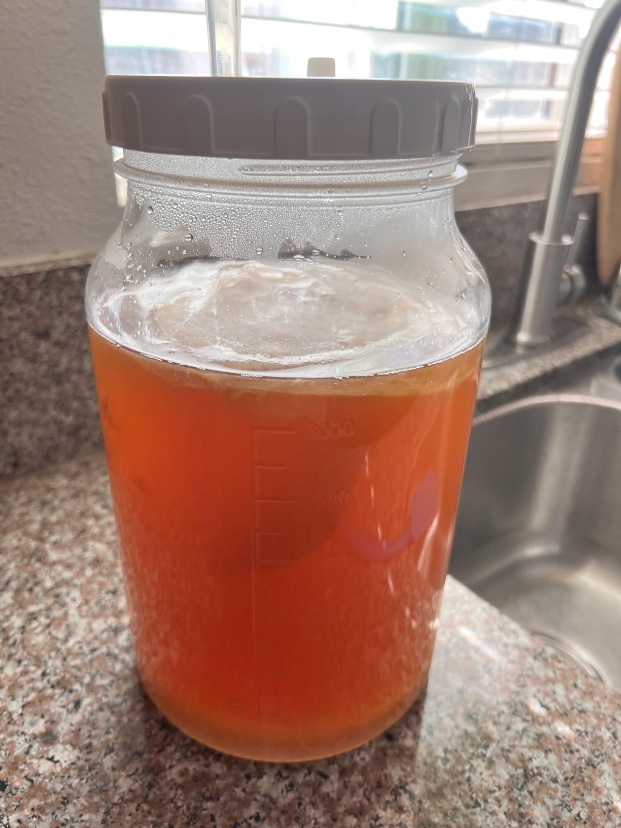 Qianfenie 1 Gallon Fermentation Jar with 3 Airlocks & 2 Screw Lids, 2 Pack | Wide Mouth, Airtight Lids, Scale Mark, Heavy-Duty Glass Jars for Kombucha, Mead Making, Sauerkraut, Sourdough Starter, Pickle customer photo 1