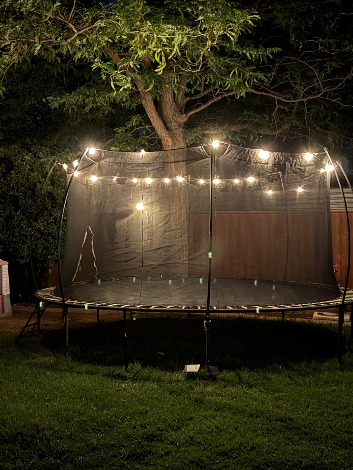 addlon 100FT 54LED Solar String Lights Outdoor Waterproof with Remote, USB | Shatterproof Outdoor Lights, 5000mAh Battery, Dimmable Timer Modes, Solar Powered Patio Lights for Backyard, Garden, Camping customer photo 1