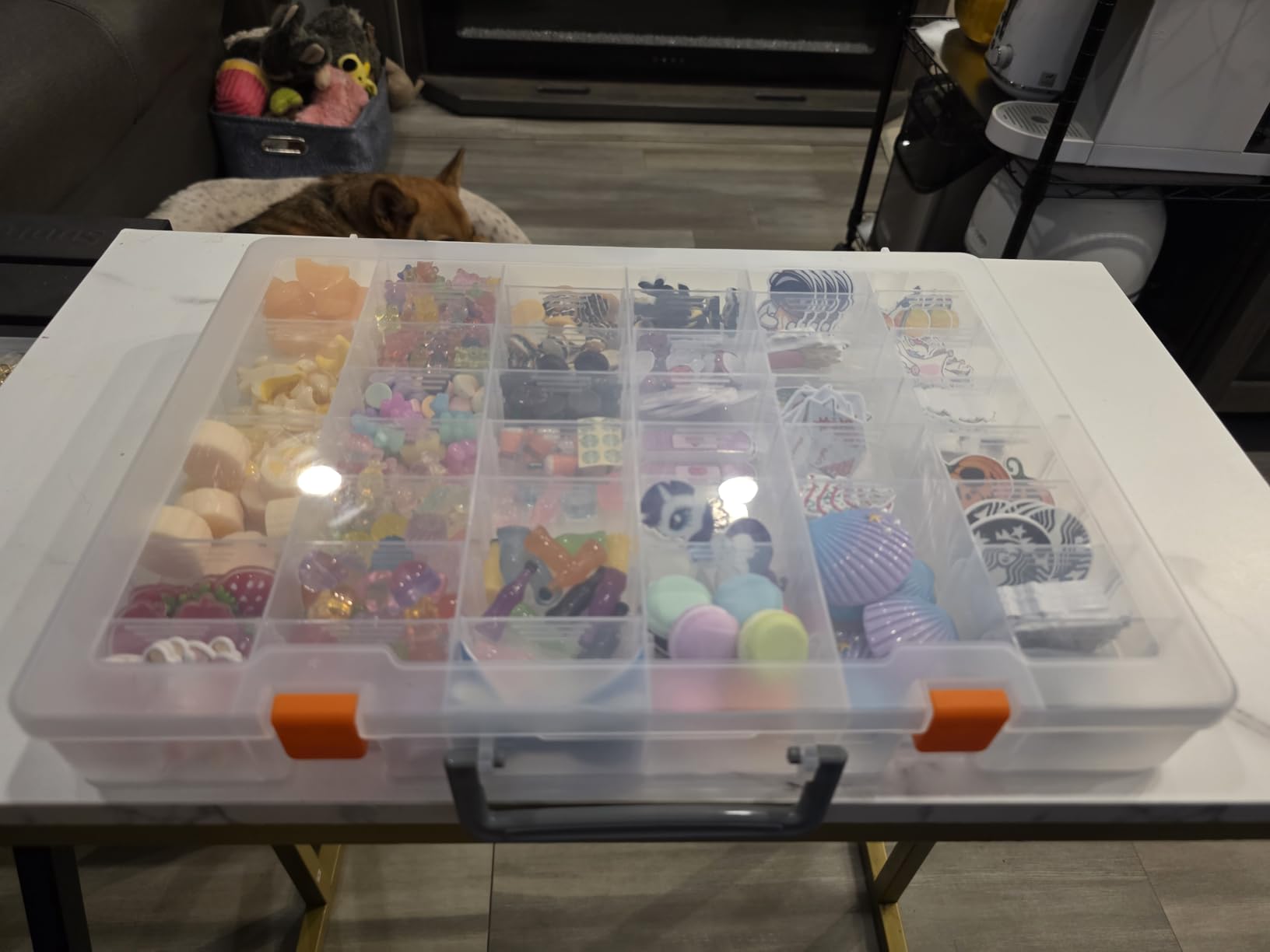 Large 48 Grids Clear Plastic Organizer Box with Adjustable Dividers customer photo 2