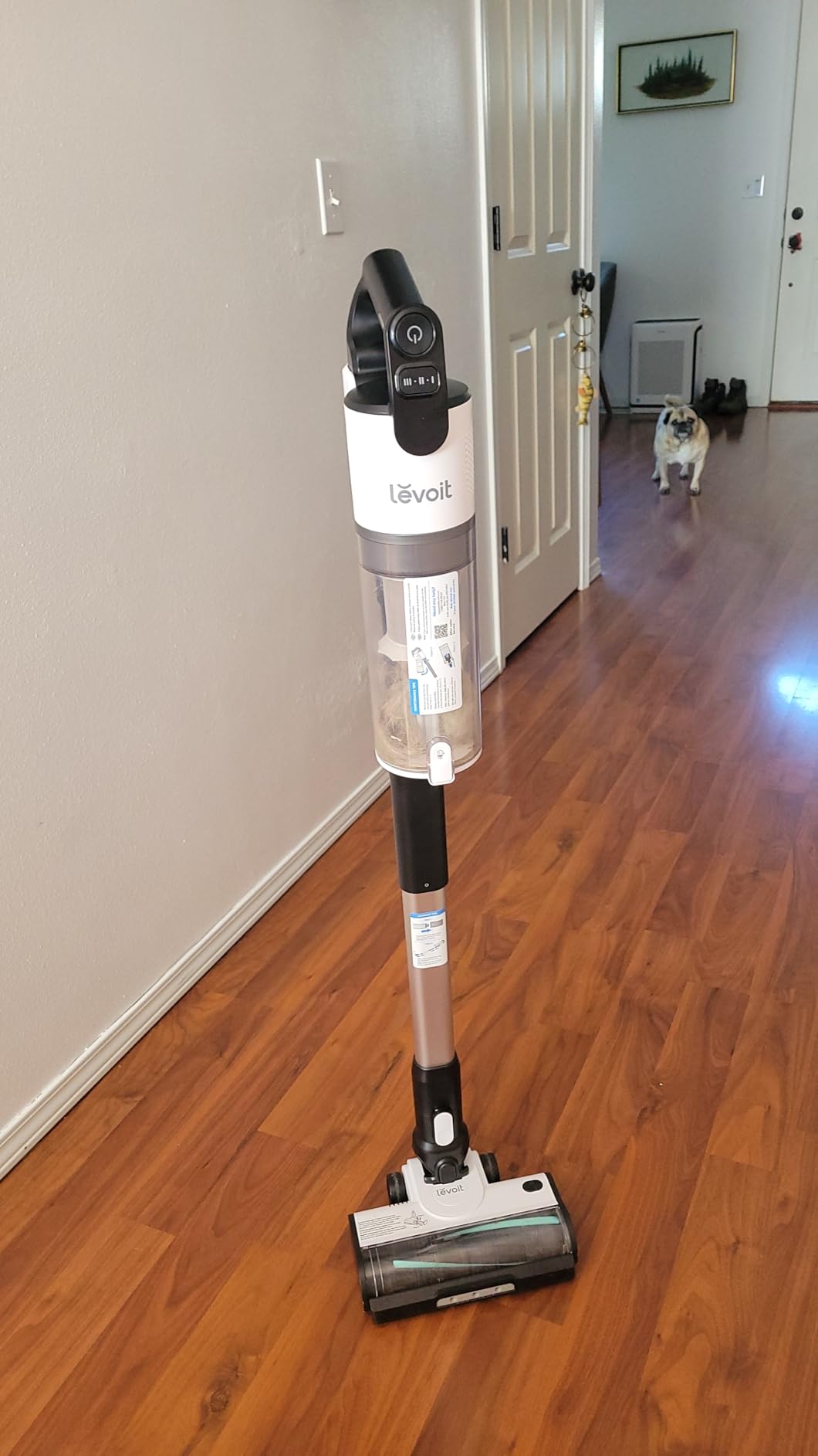 Levoit Cordless Vacuum Cleaner, Anti-Tangle for Pet Hair, Up to 50 Minutes | Powerful Suction, Lightweight, Rechargeable, Versatile for Carpets & Hard Floors, 180° Lay-Flat Design, LVAC-200 customer photo 2