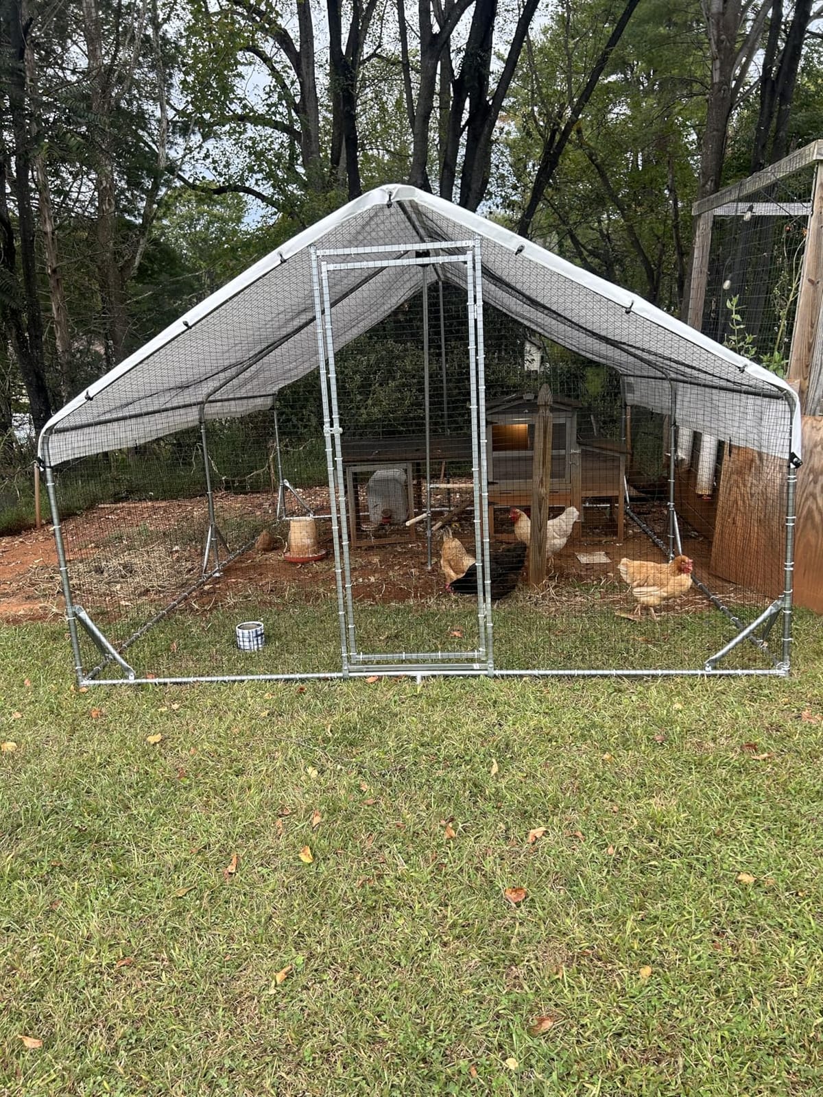 CHIKENCOOP 19.5x9.8x6.5ft Metal Chicken Coop, 3-Room Run, Hardware Cloth | Three-room walk-in run with hardware cloth, full-top waterproof UV-resistant cover, 3-mode solar light, and center perches customer photo 1