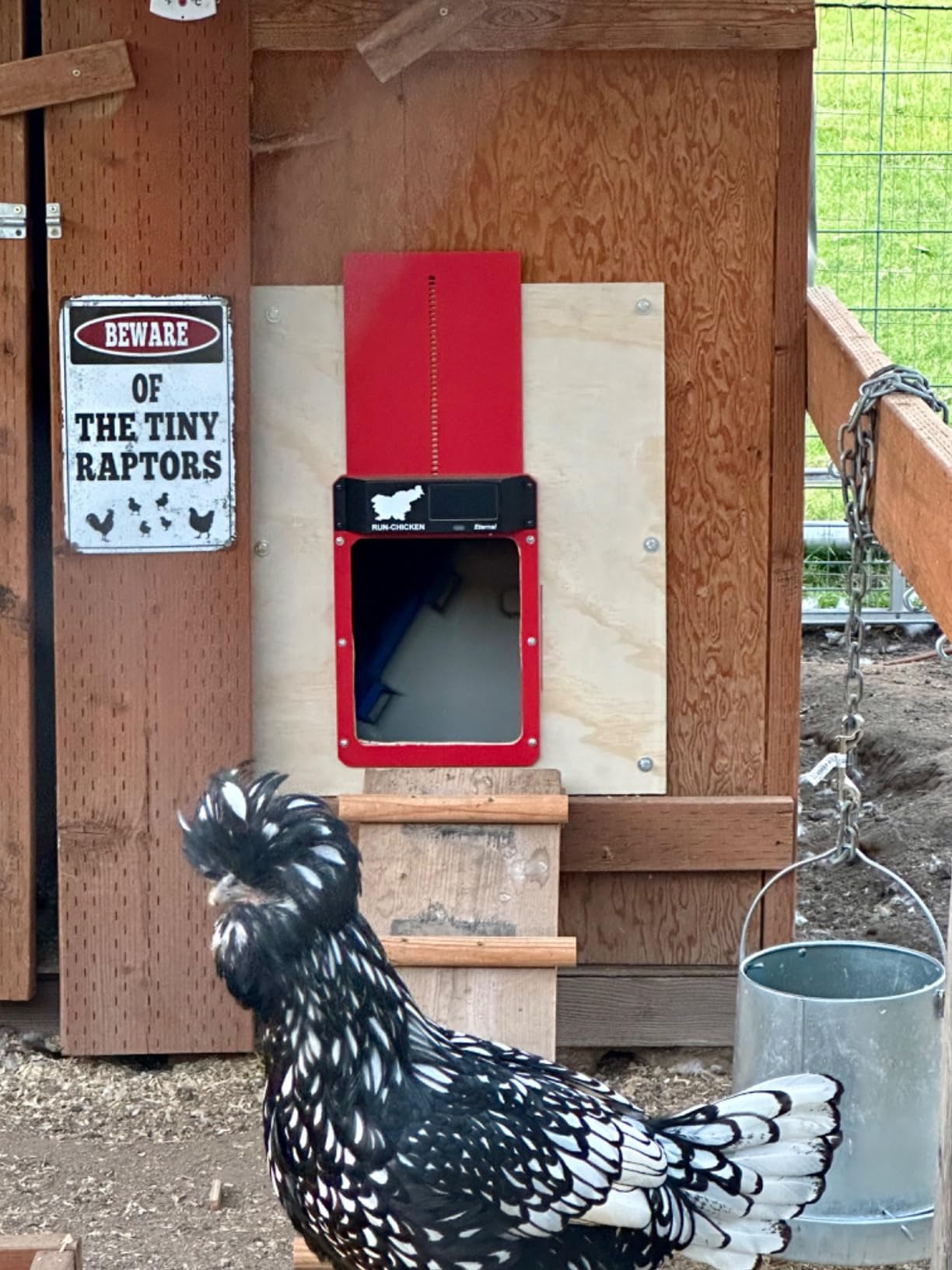 RUN-CHICKEN Door Eternal - Solar Automatic Chicken Coop Door with Built-in Solar Power & Battery Backup, Smart App & Timer Control, Weatherproof Aluminum, Predator-Proof, Easy to Install (Red) customer photo 2