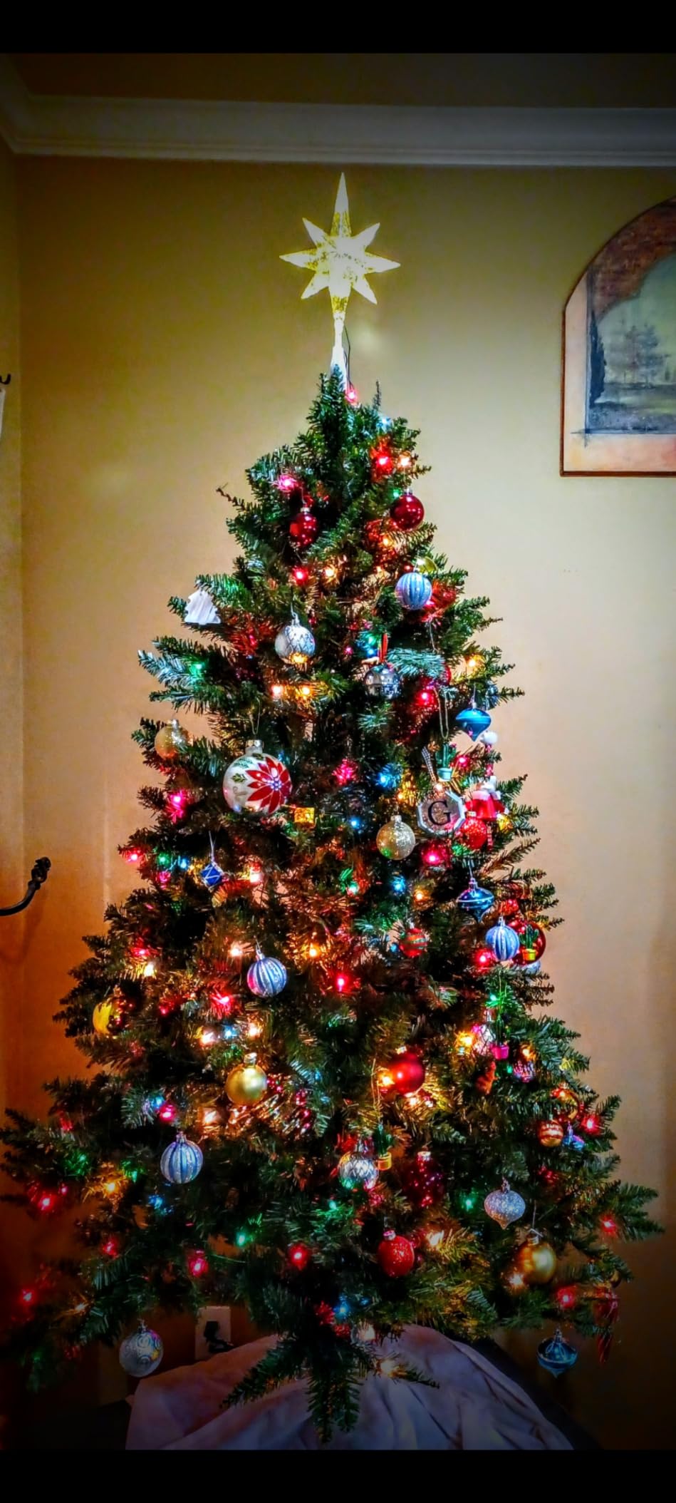 HikooLSS Christmas Tree Storage Bag 12 Ft Tall Tree Container Heavy Duty - Oxford Dual Mesh Pockets, Moistureproof, Extra Large Christmas Tree Box for Big Xmas Tree Wide Opening Red (65X23X27in) customer photo 2
