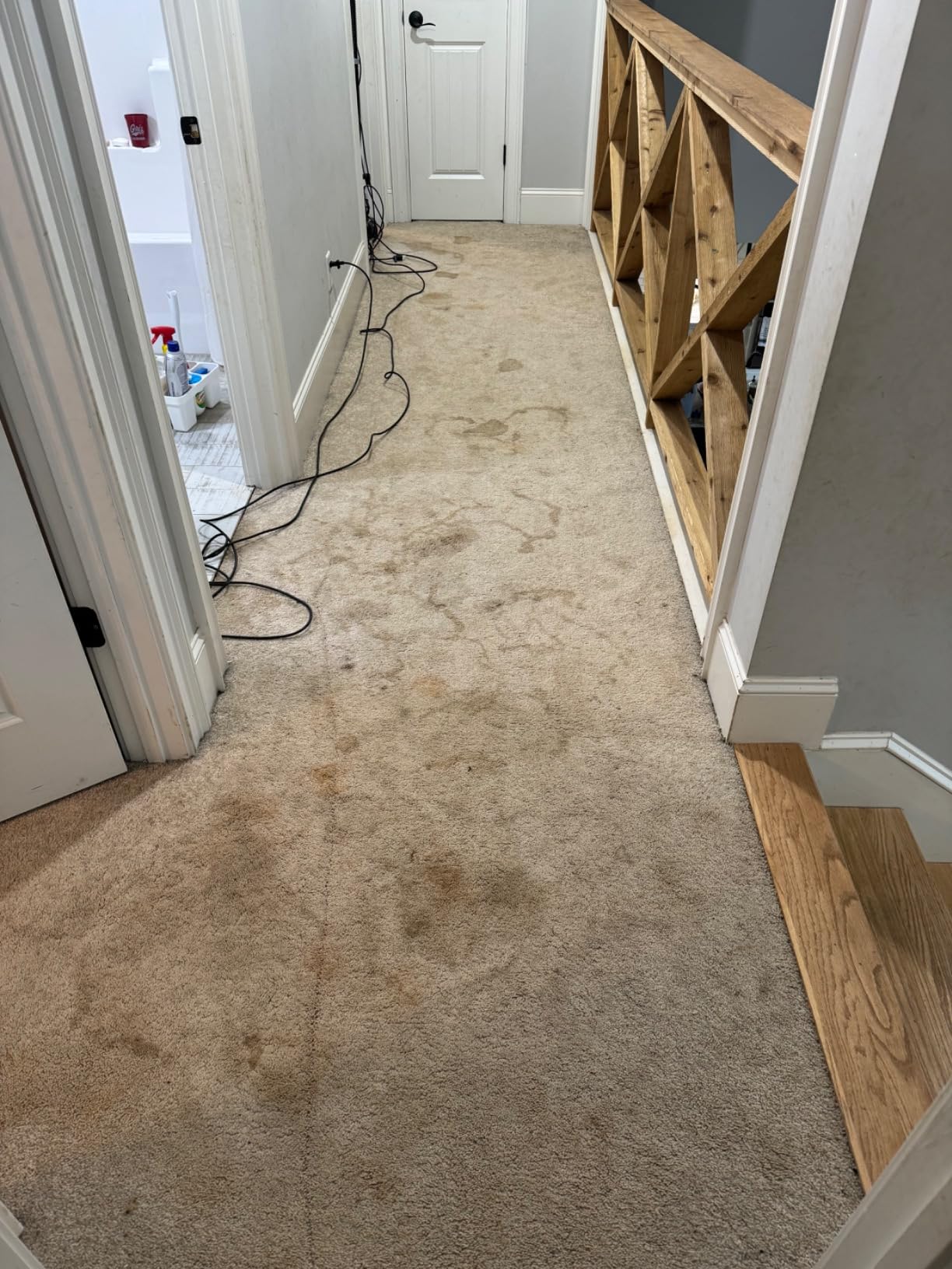 Shark Deep Clean Pro Carpet Cleaner Formula Removes Dirt/Stains/Odor EXCM48, 48oz customer photo 1