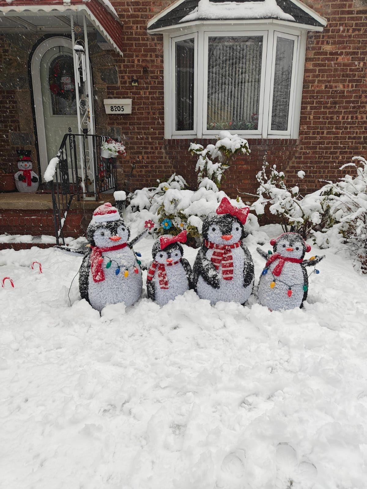 Best Choice Products 2-Piece Lighted Penguin Family, 3ft Pop-Up Outdoor Christmas Holiday Decoration w/ 150 LED Lights, Multicolored Lights - Red customer photo 1