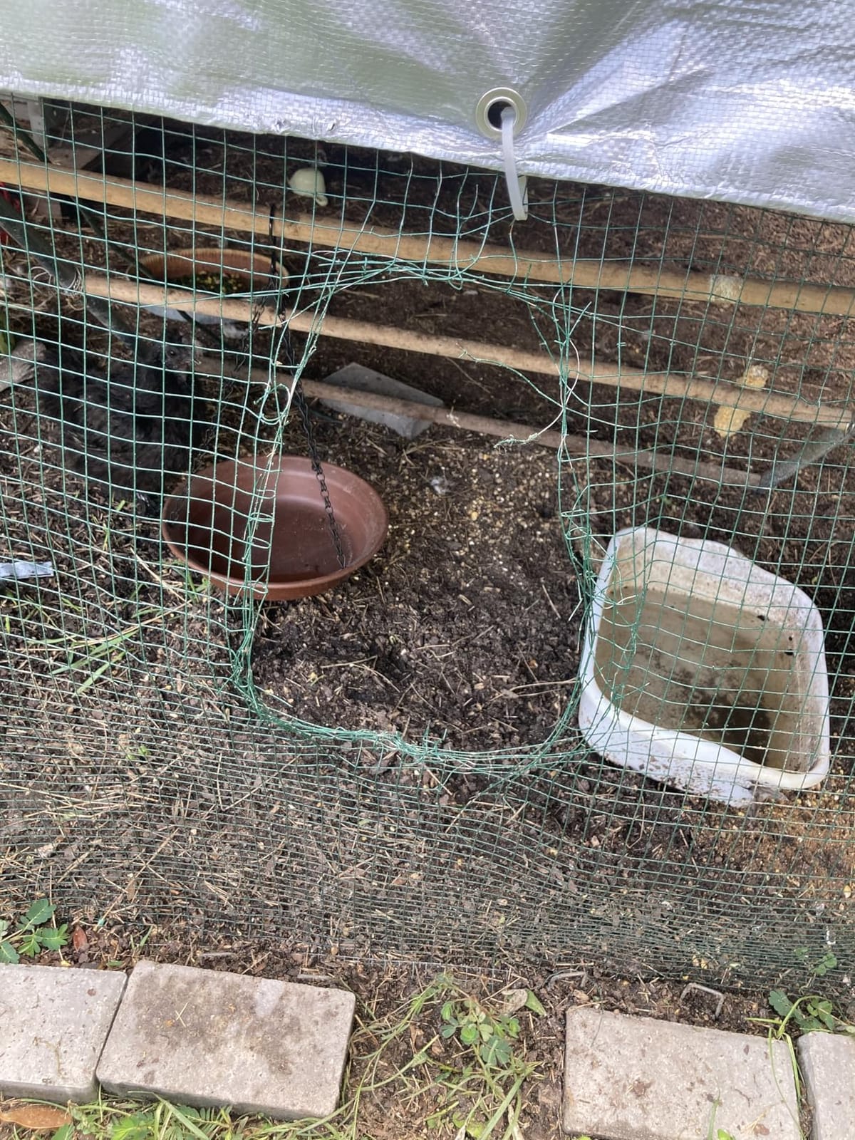 Quictent 18x9x6.6ft Large Metal Chicken Coop Run with Hardware Cloth customer photo 2
