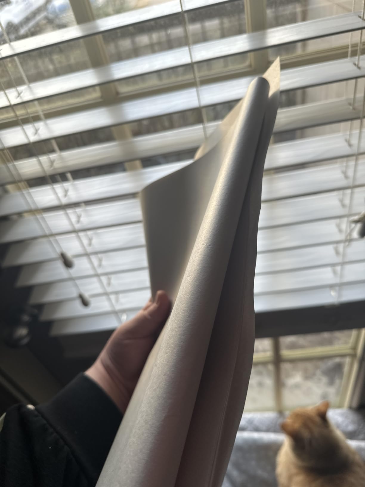 100 Sheets Packing Paper for Moving, Newsprint Paper for Packing Wrapping, Wrapping Paper for Packaging Glasses Dishes - Must Have Packing Supplies for Moving Box Filler(12 * 24in) customer photo 2