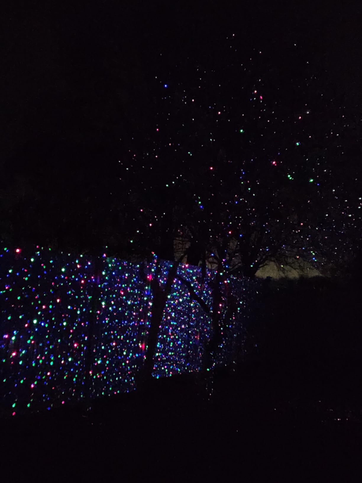 Outdoor RGB Laser Projector Lights, Moving 3 Color Starry Sky & Firefly Effects Projection Light with RF Control, IP65 Outdoor Holiday Landscape Decor for Christmas Halloween Parties Garden New Year customer photo 1