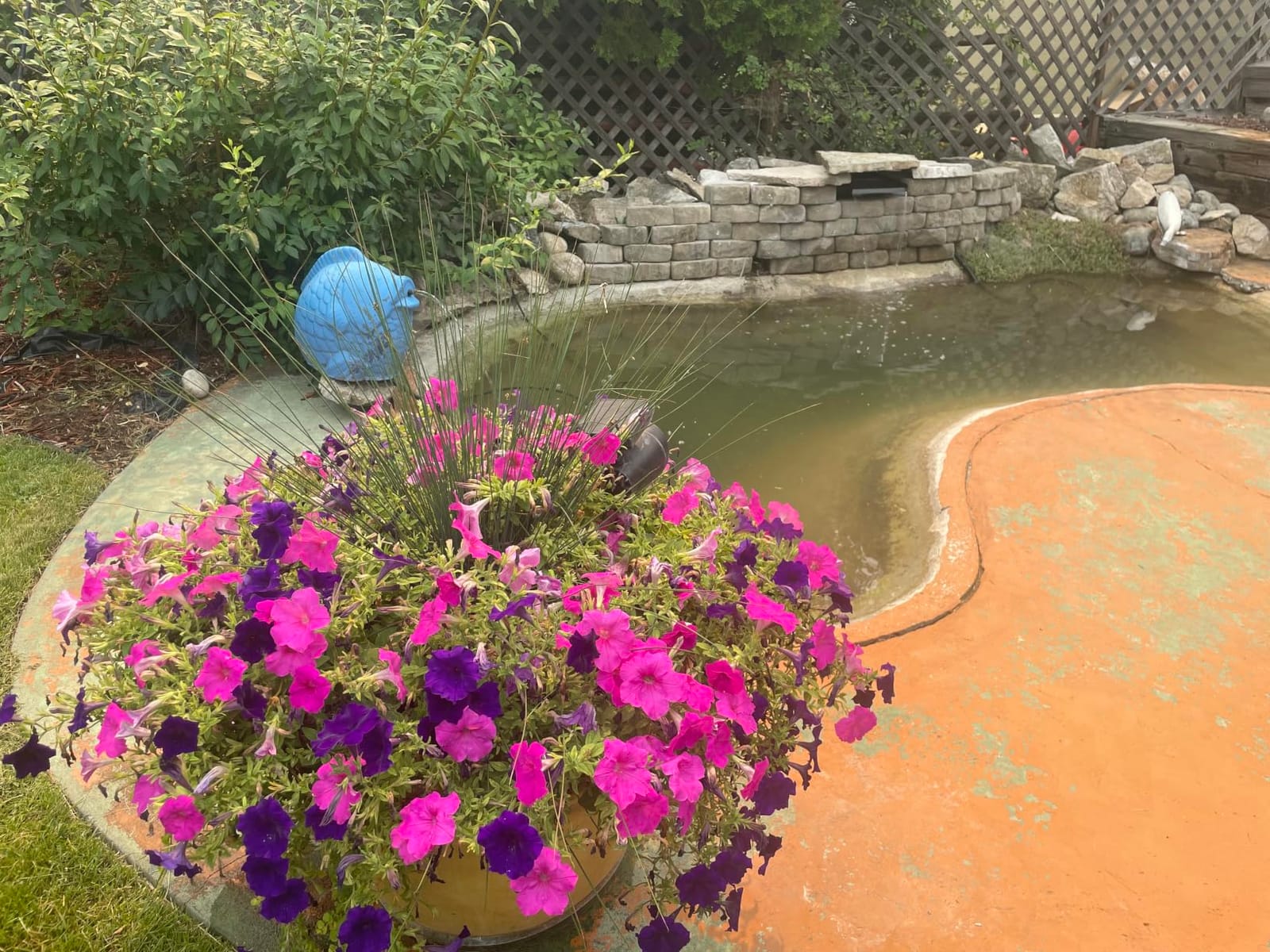 POPOSOAP Pond Waterfall with Pump Kit, 304 Stainless Steel Waterfall Spillway with 40W 660GPH Pump, Pond Spillway with 9.8FT Corrugated Tubing for Garden (12inch)-P43 customer photo 1