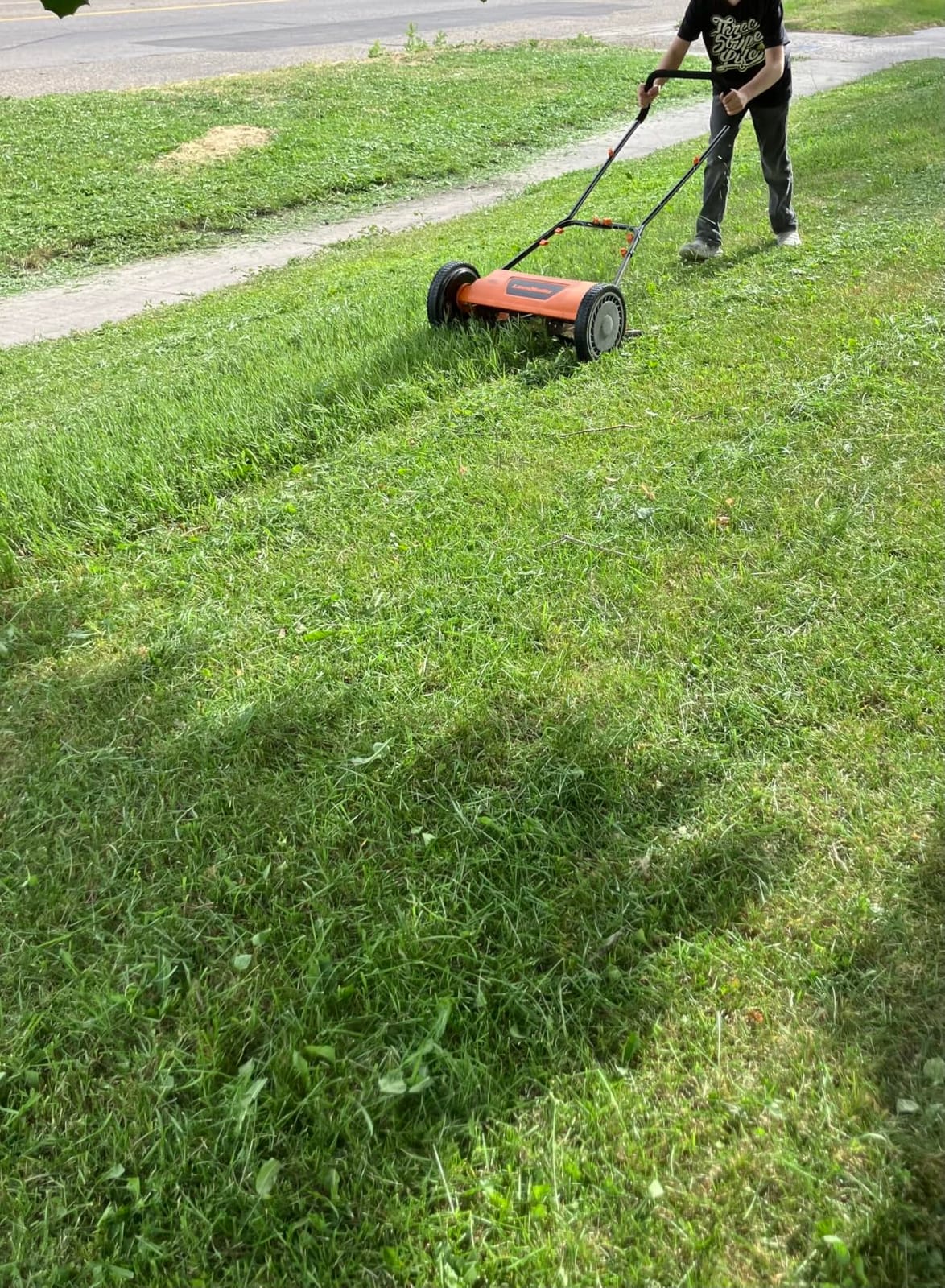 LawnMaster LMRM1602 Push Reel Lawn Mower 16-Inch 5-Blade customer photo 1
