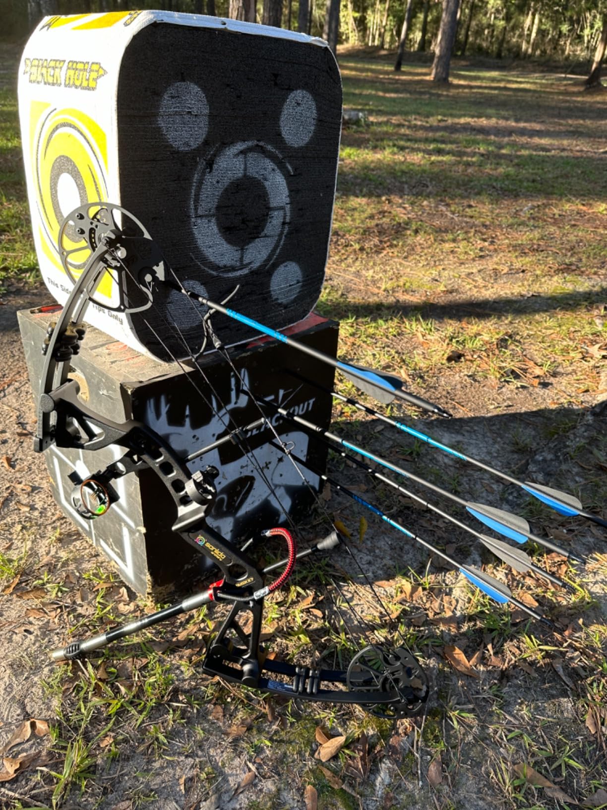 Sanlida Dragon X7 Ready to Hunt Compound Bow Package for Adults, Archery Compound Bow and Arrow Set, 0-70 Lbs Draw Weight, No Bow Press Needed, RH Only, Limited Life-time Warranty customer photo 2