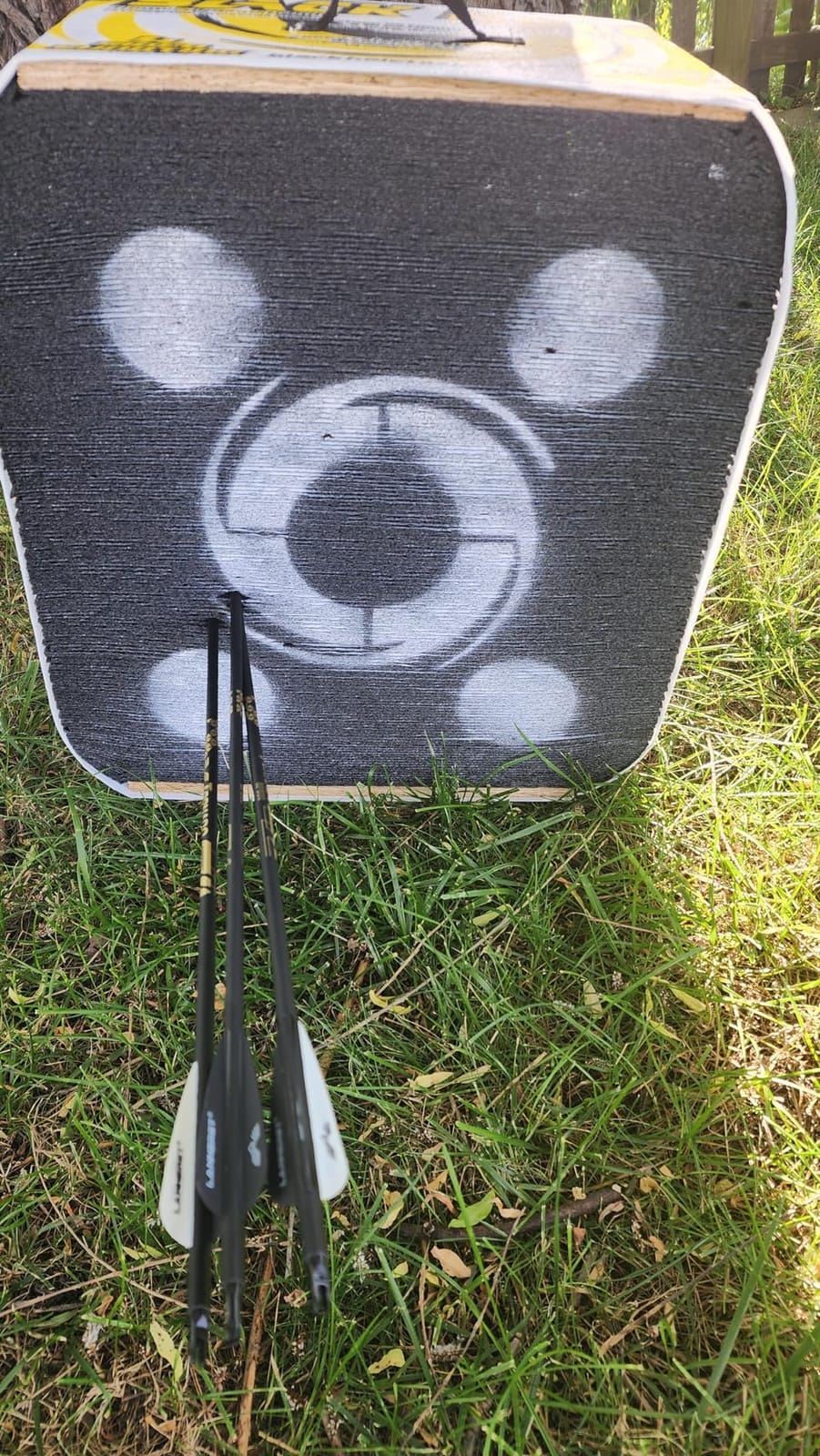 Lanneret Compound Bow and Archery Sets - Right Hand Archery Compound Bows 0-70 lbs Draw Weight Adjustable for Adults and Beginners, 25-31 Draw Length, up to IBO 320 fps, Archery Hunting Bow Set customer photo 1