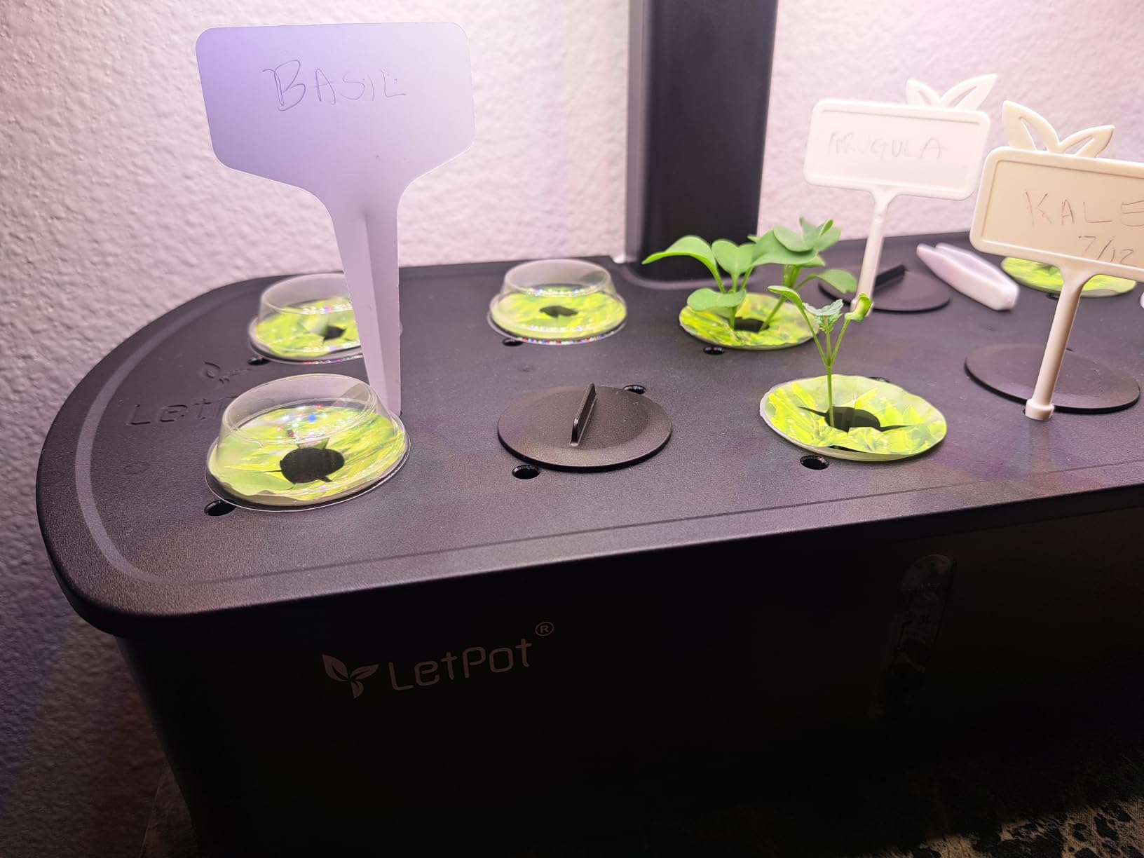LetPot LPH-Air Hydroponics Growing System Kits, APP & WiFi Controlled Smart Indoor Garden with Adjustable 24W Grow Light Full Spectrum, 10 Pods Planter Indoor Gardening for Gifts, Kitchen, Vegetable customer photo 1