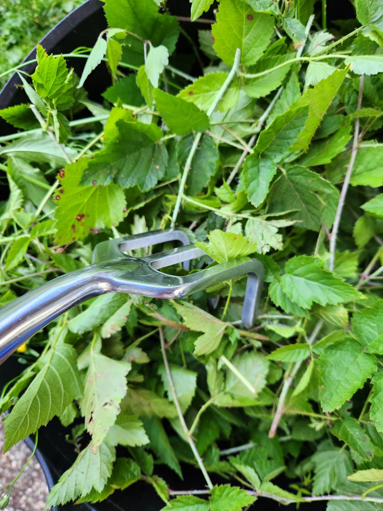 Hand Rake Garden Tool, Heavy Duty Hand Cultivators for Gardening, Small Garden Claw Tool Garden Handrake with Ergonomic Handle, Weed Rake Cultivator Tool for Cultivating, Loosening, Weeding customer photo 2