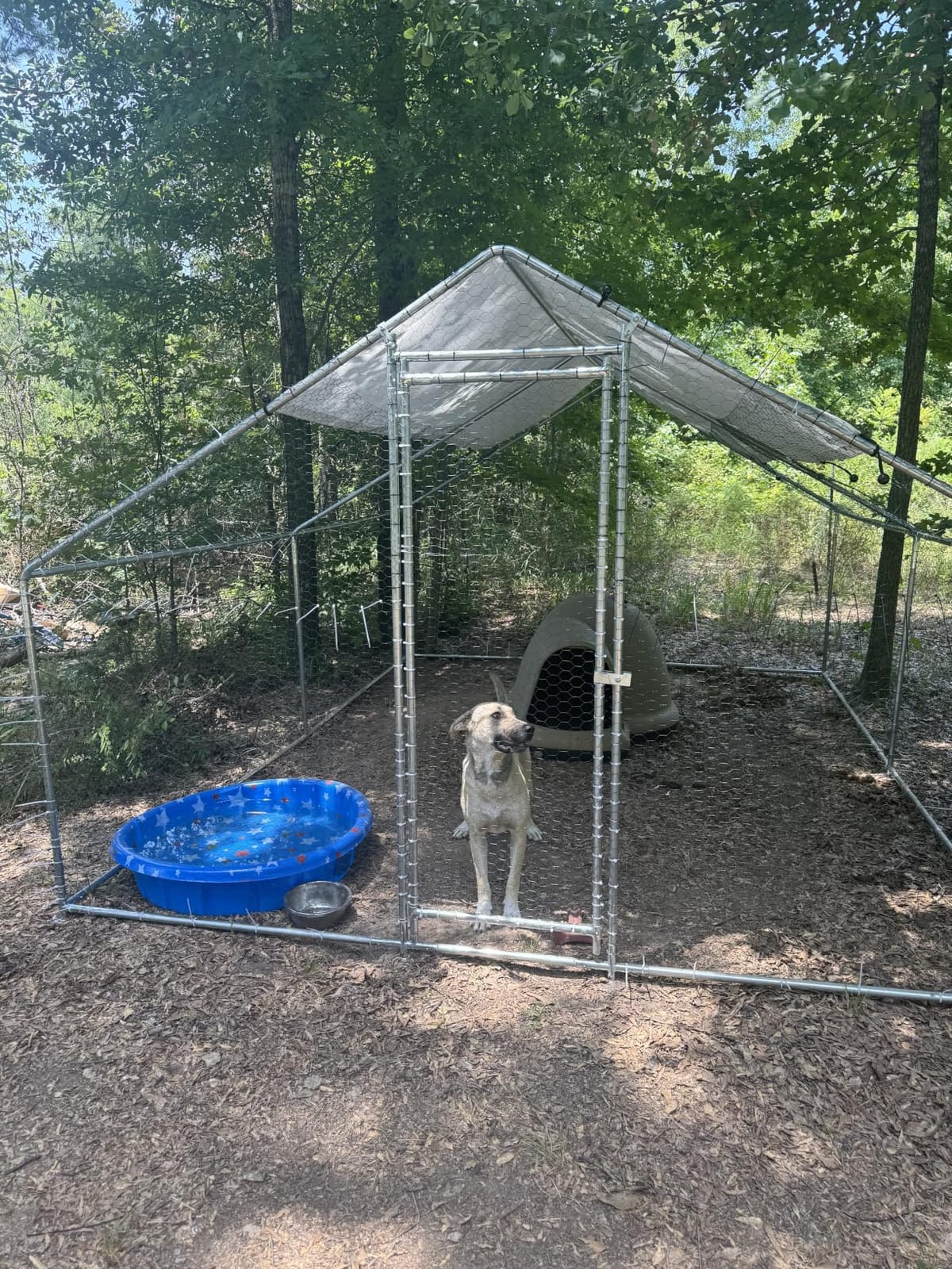 HEYTOWN Large Metal Chicken Coop Chicken Pen with Water-Resident and Anti-UV Cover Walk-in Poultry Cage Chicken Runs for Yard with Cover Duck Rabbit Dog House Outdoor customer photo 1