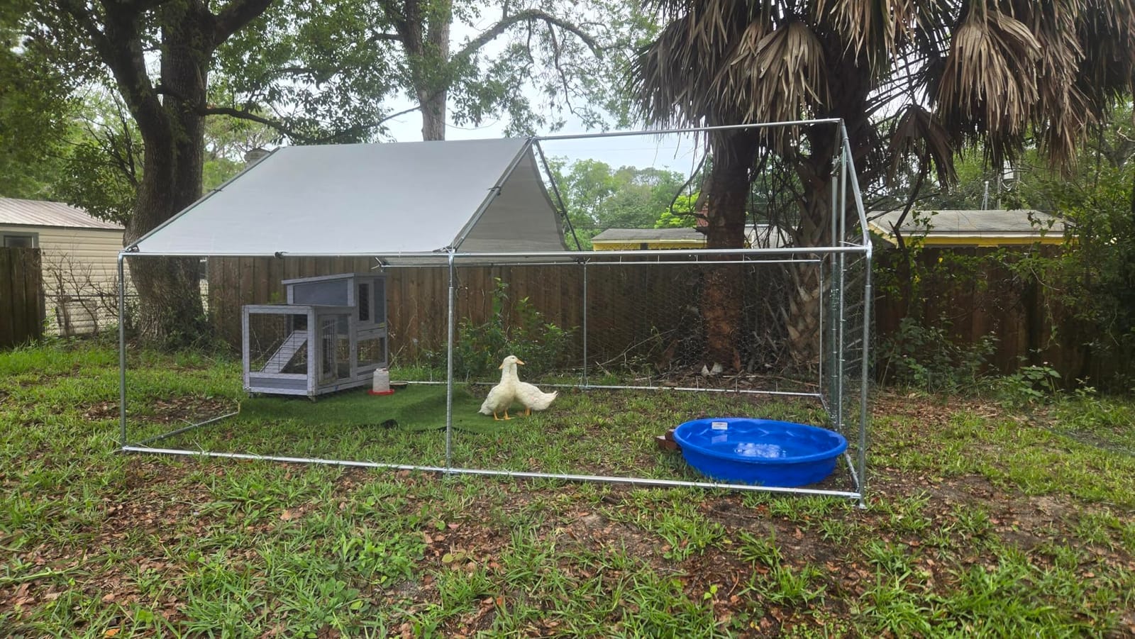 HEYTOWN Large Metal Chicken Coop Chicken Pen with Water-Resident and Anti-UV Cover Walk-in Poultry Cage Chicken Runs for Yard with Cover Duck Rabbit Dog House Outdoor customer photo 2