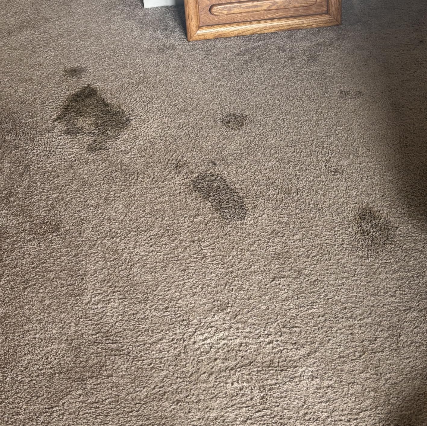 BISSELL Little Green Max Pet SmartMix Carpet Cleaner, 38572 | SmartMix Technology auto-mixes solution; self-cleaning tough stain tool; upholstery & car detailing customer photo 1