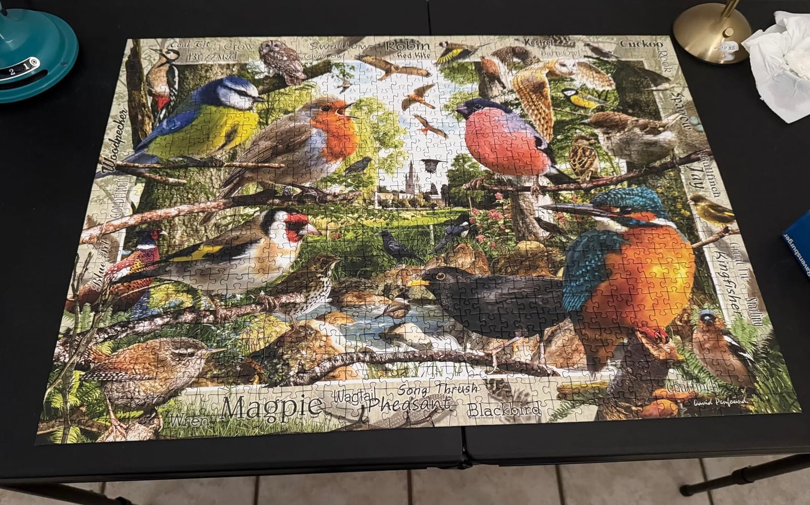 Ravensburger - Our Feathered Friends - 1000 Piece Jigsaw Puzzle - Stunning, Vivid Colors - Birds of Every Size, Shape, and Color - Puzzles for Adults customer photo 1