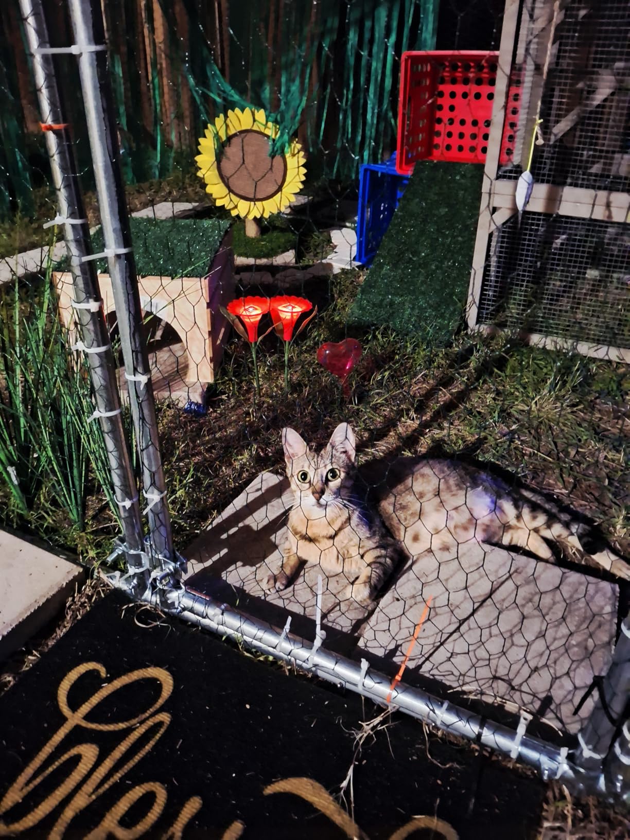 Large Metal Chicken Coop Round Top Upgrade Tri-Supporting Wire Mesh Chicken Run, Chicken Pen with Water-Resistant and Anti-UV Cover, Duck Rabbit House Outdoor (25'L x 9'W x 6.5'H) customer photo 2