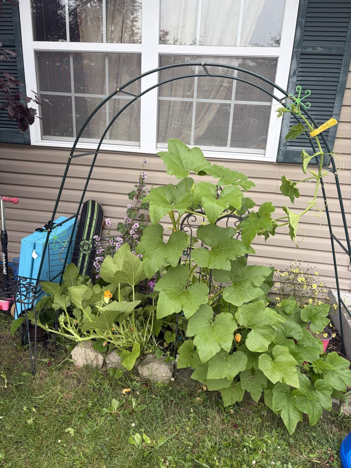 RUBFAC 7.8ft Garden Arbor, Metal Arch Frame for Wedding Ceremony, White Archway Garden Trellis for Climbing Plants customer photo 2