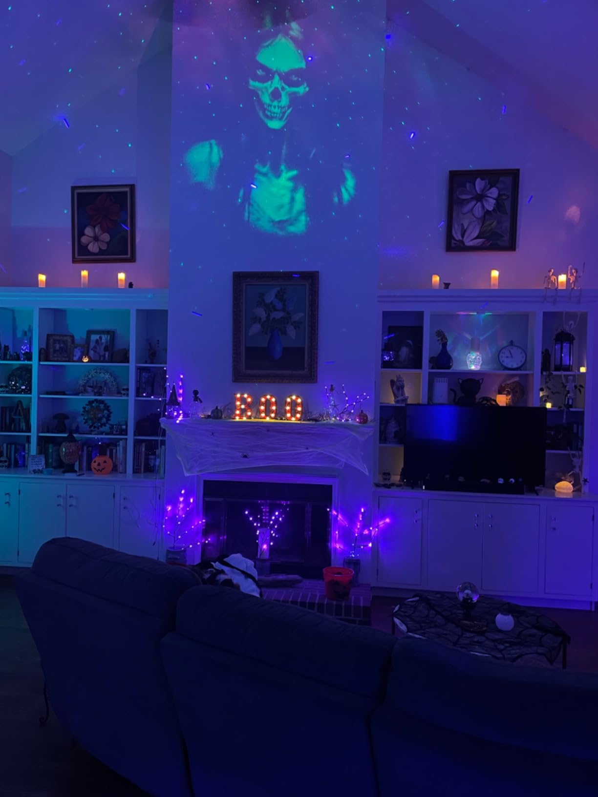 Halloween Projector Outdoor, 2026 Upgraded 3D Dynamic Skull HD Patterns, Clearer Holiday Light Ideal for Window Wall Displays and Halloween Garage Door Cover Projections customer photo 1