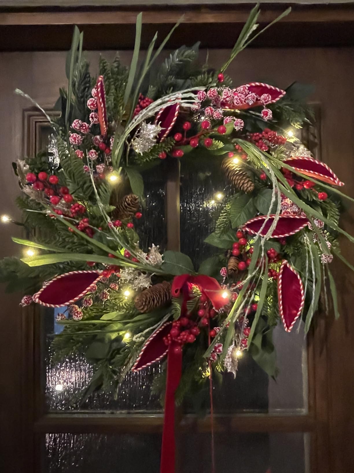 Christmas Wreath with Lights, Outdoor Pre-lit Christmas Wreaths for Front Door - 24 Inch Xmas Door Wreath with Pine Needles Pine Cones and Red Berries - Farmhouse Home Christmas Decorations customer photo 1