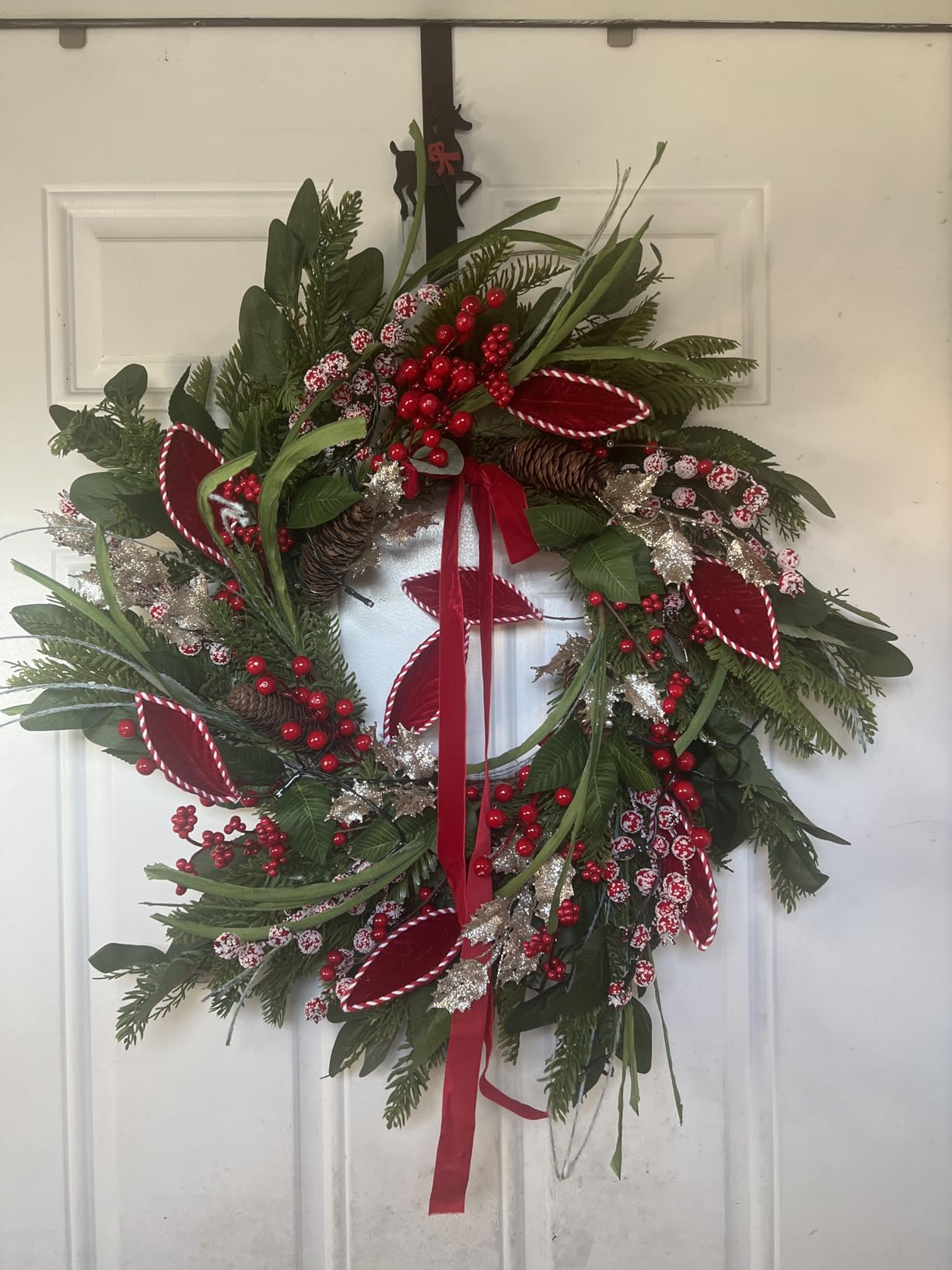 Christmas Wreath with Lights, Outdoor Pre-lit Christmas Wreaths for Front Door - 24 Inch Xmas Door Wreath with Pine Needles Pine Cones and Red Berries - Farmhouse Home Christmas Decorations customer photo 2