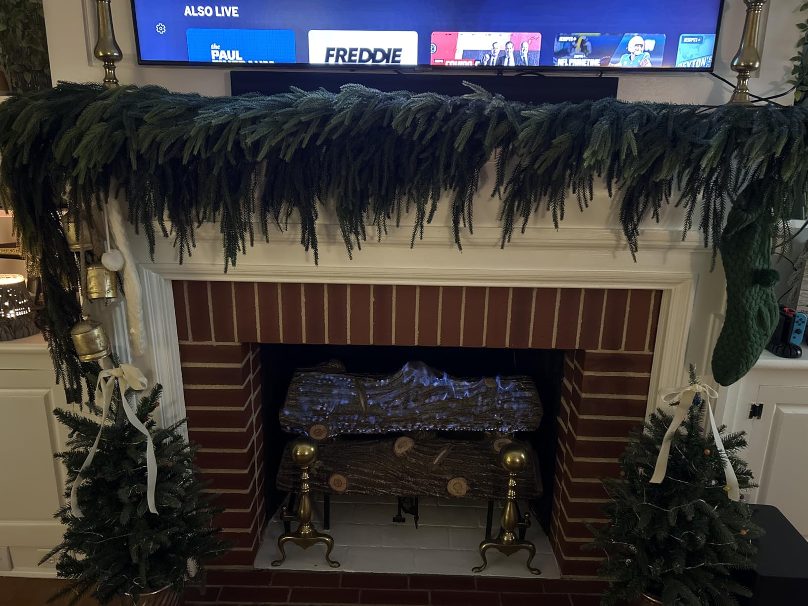 N&T NIETING 9FT Christmas Norfolk Pine Garland Real Touch Pine Artificial Garlands Faux Greenery Garland Winter Christmas Garland for Table Mantle Fireplace Indoor Outdoor Xmas Decorations (1 Pcs) customer photo 1
