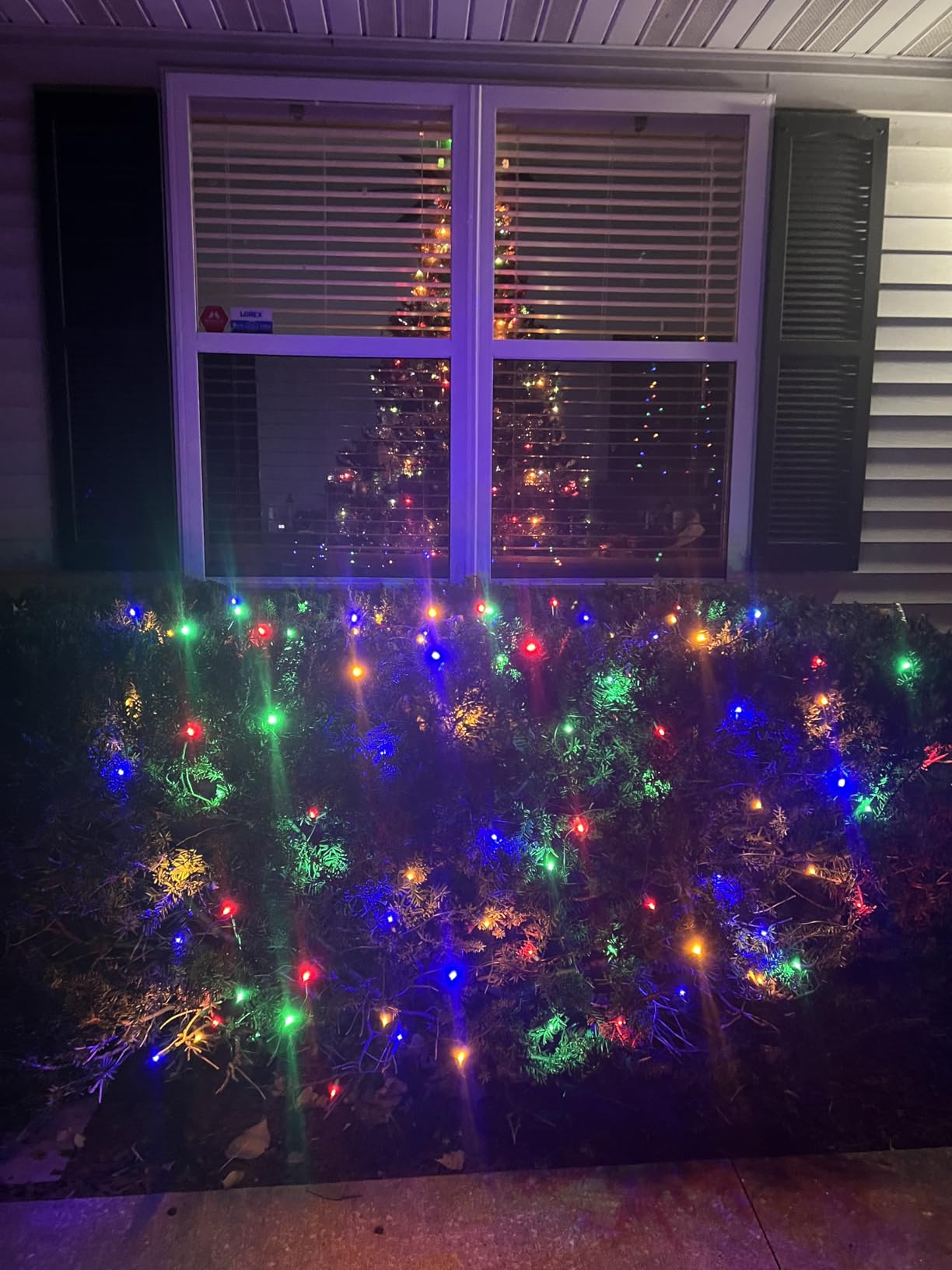 HISHINY Christmas Lights Outdoor Decorations for Bushes,LED Connectable Bush Christmas Lights Outdoor Yard Mesh Shrub Net Light for Party, Holiday, Wedding, Tree,Bushes (Cool White) customer photo 2
