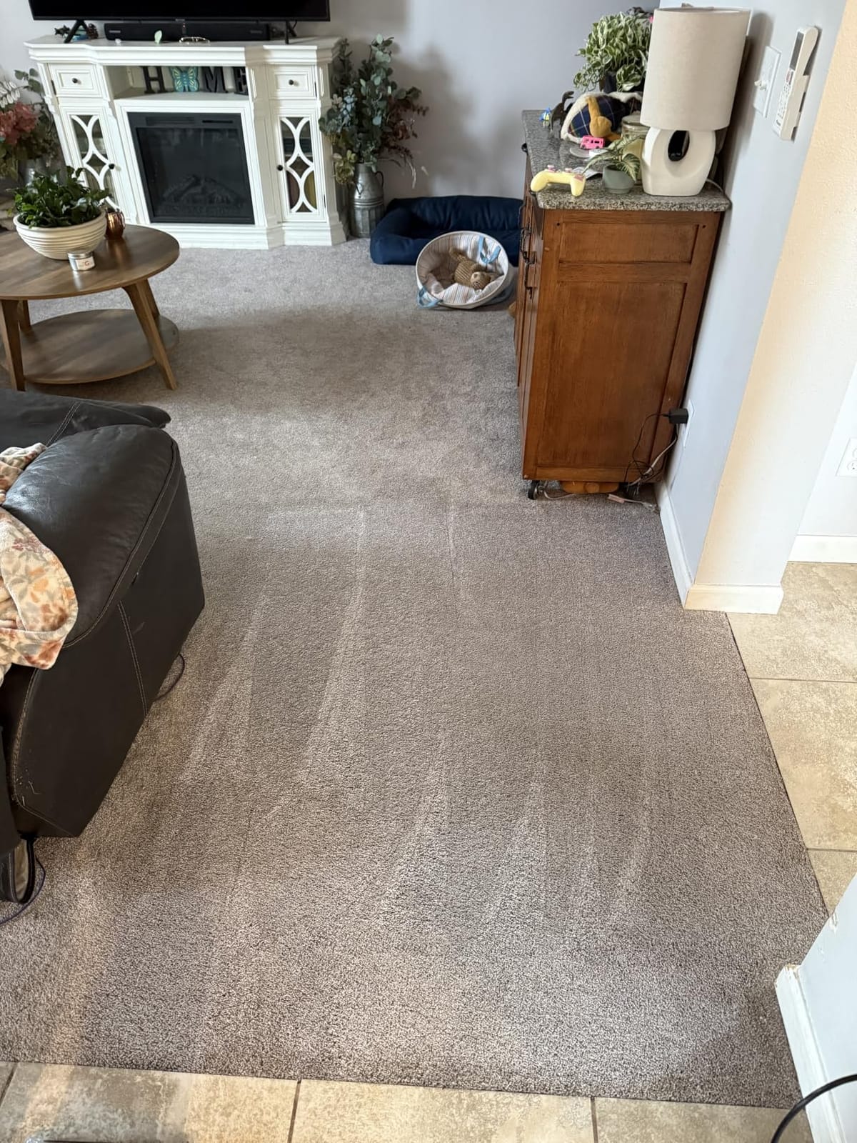 BISSELL TurboClean Upright Carpet Cleaner, OXY Formula, 3952 | Pro Max Clean & Protect formula; Oxy Urine Eliminator included; powerful upright carpet cleaning customer photo 1