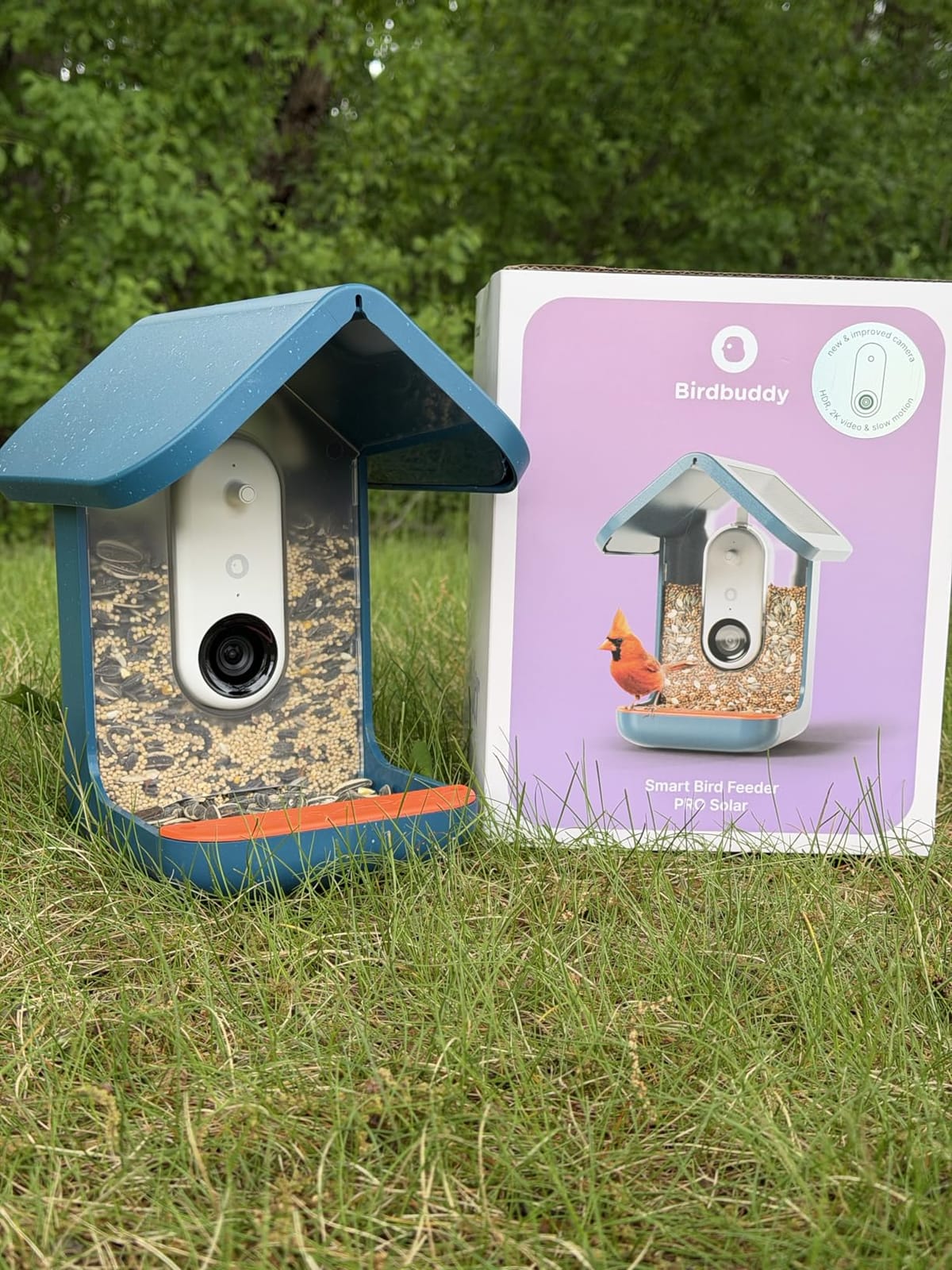 Birdbuddy PRO Solar Smart Bird Feeder with Camera - AI Bird Species Identification, 5MP Photos, 2K HD Video Live Stream Camera, Slow-Motion Video, 2.6in Focus - Blue Solar customer photo 2