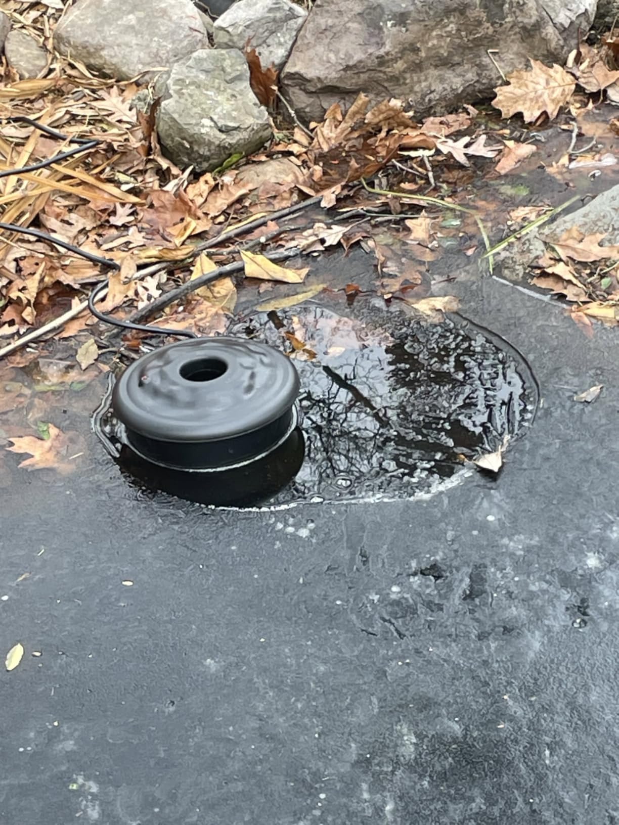 Dreyoo Floating Pond Heater, 100W Pond Deicer with 9.84 FT Cord, Thermostatically Control and Anti Sinking Ponds Heater for Outdoor Ponds with Fish, Winter Survival Solution for Pool Fish (Grey) customer photo 1