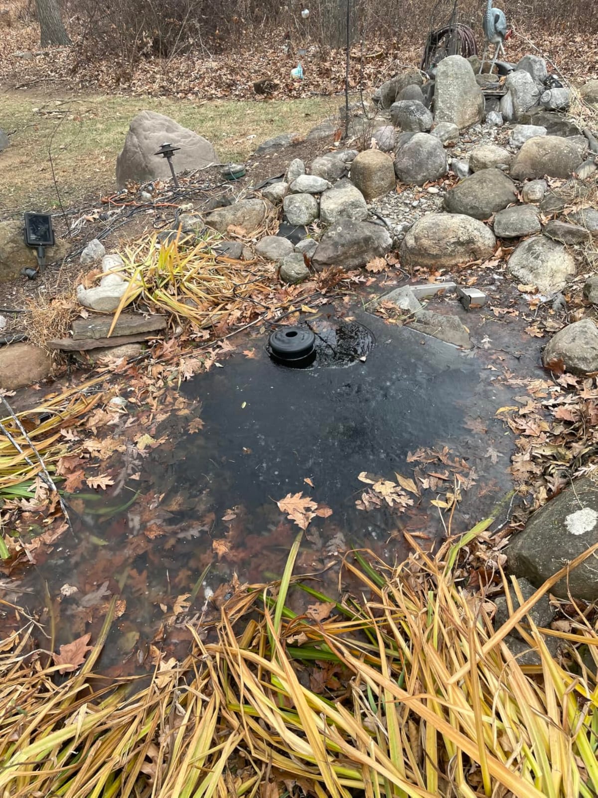 Dreyoo Floating Pond Heater, 100W Pond Deicer with 9.84 FT Cord, Thermostatically Control and Anti Sinking Ponds Heater for Outdoor Ponds with Fish, Winter Survival Solution for Pool Fish (Grey) customer photo 2