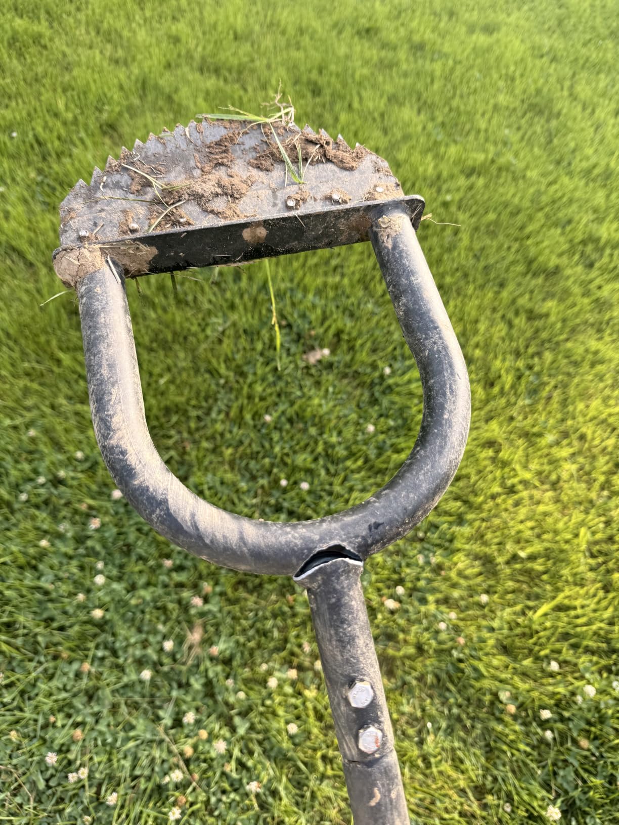 Edger Lawn Tool 41in Border Edger with Tempered Spring Steel Blade | Long Rubber Handle Wide Footplate Rustproof Manganese Steel Half Moon Edger for Garden Maintenance customer photo 1