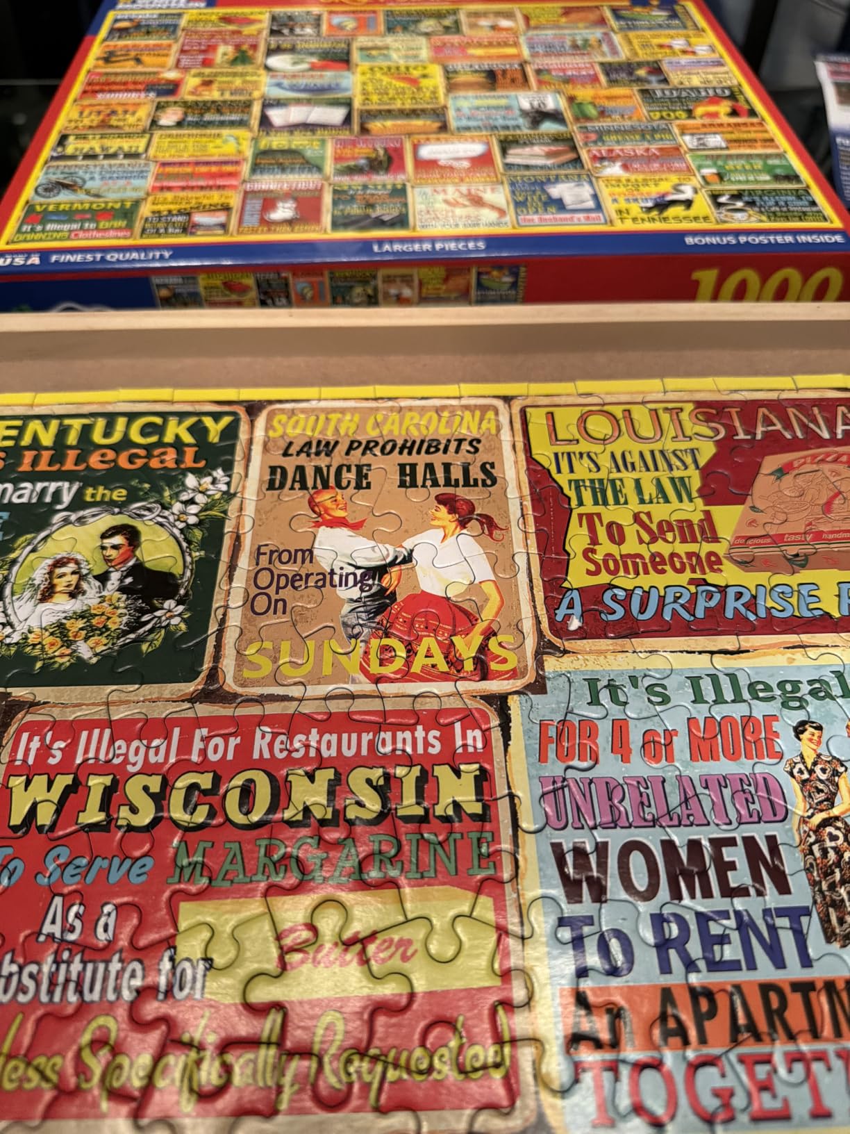 White Mountain 1000 Piece Jigsaw Puzzle Funny Rules, Crazy State Laws | Large Pieces, Gift for Adults and Family, 24