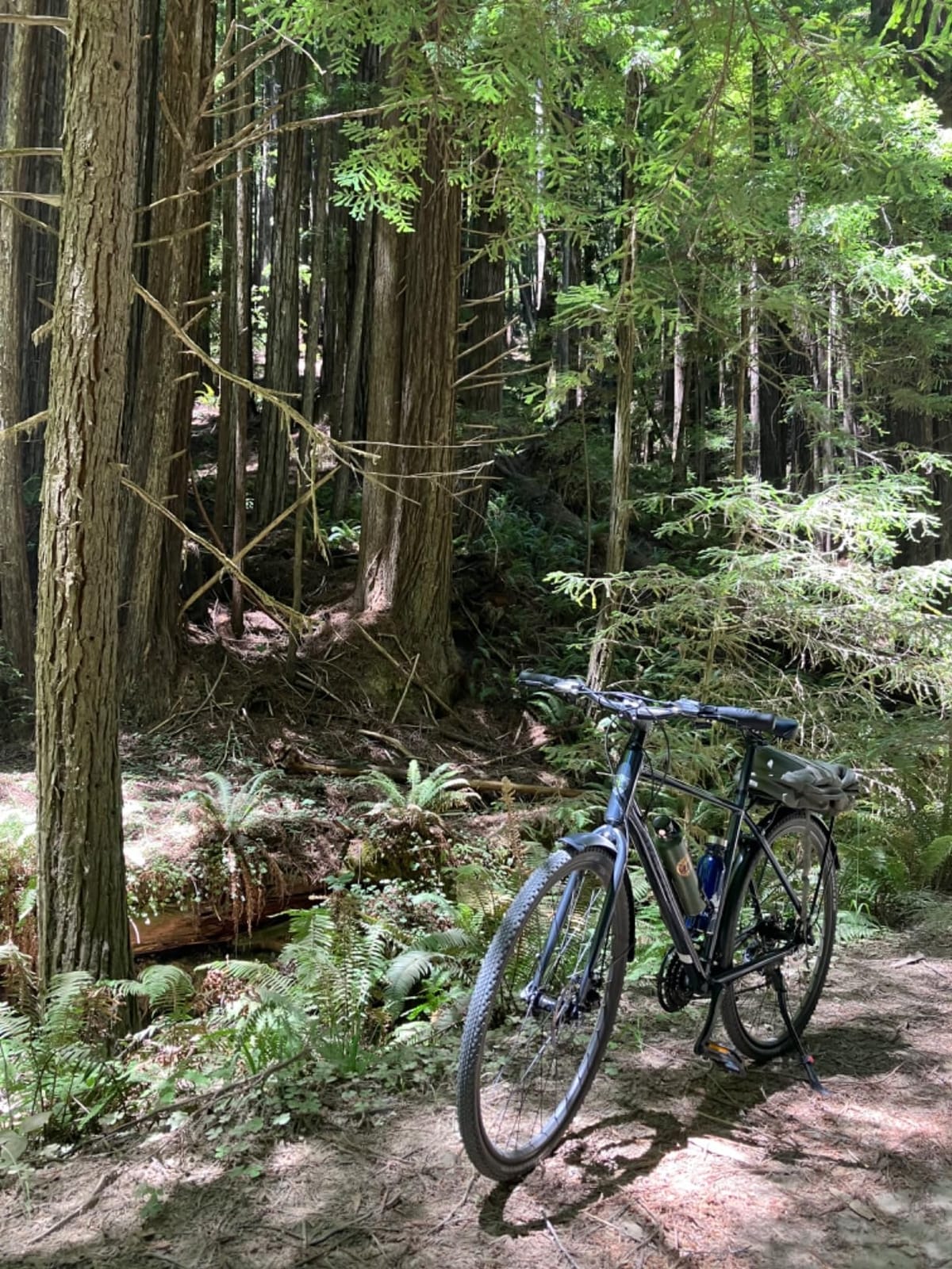 AVASTA Jupiter 700C Road Adult Step-Over Hybrid Cycling Bike, Aluminum Frame, 21-Speed, Dual Disc Brakes customer photo 1