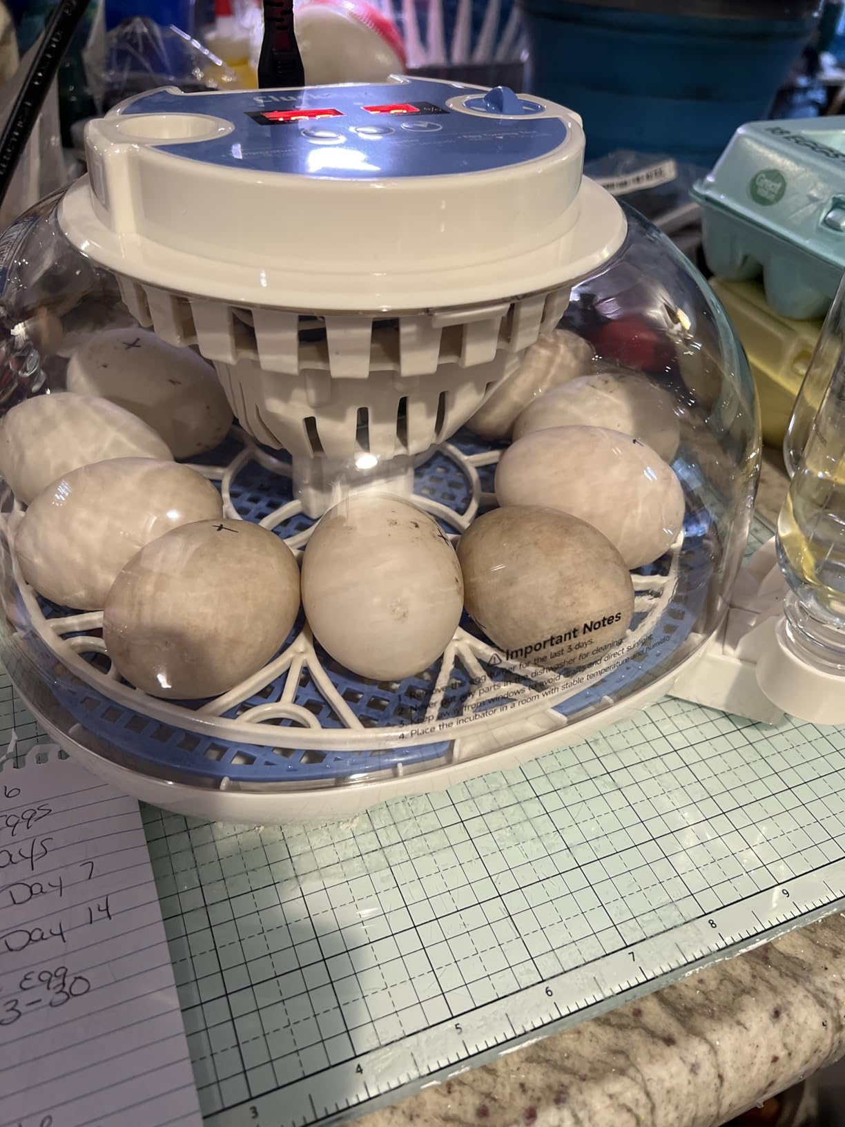 12 Egg Incubators for Hatching Eggs, Auto Turning, Temp & Humidity Control customer photo 1