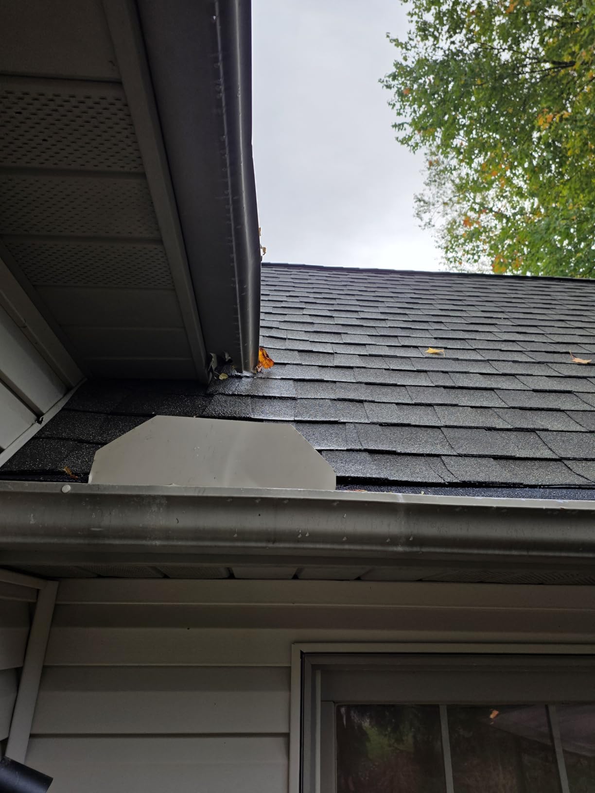 SDSNTE Lock-in Gutter Guard - 6