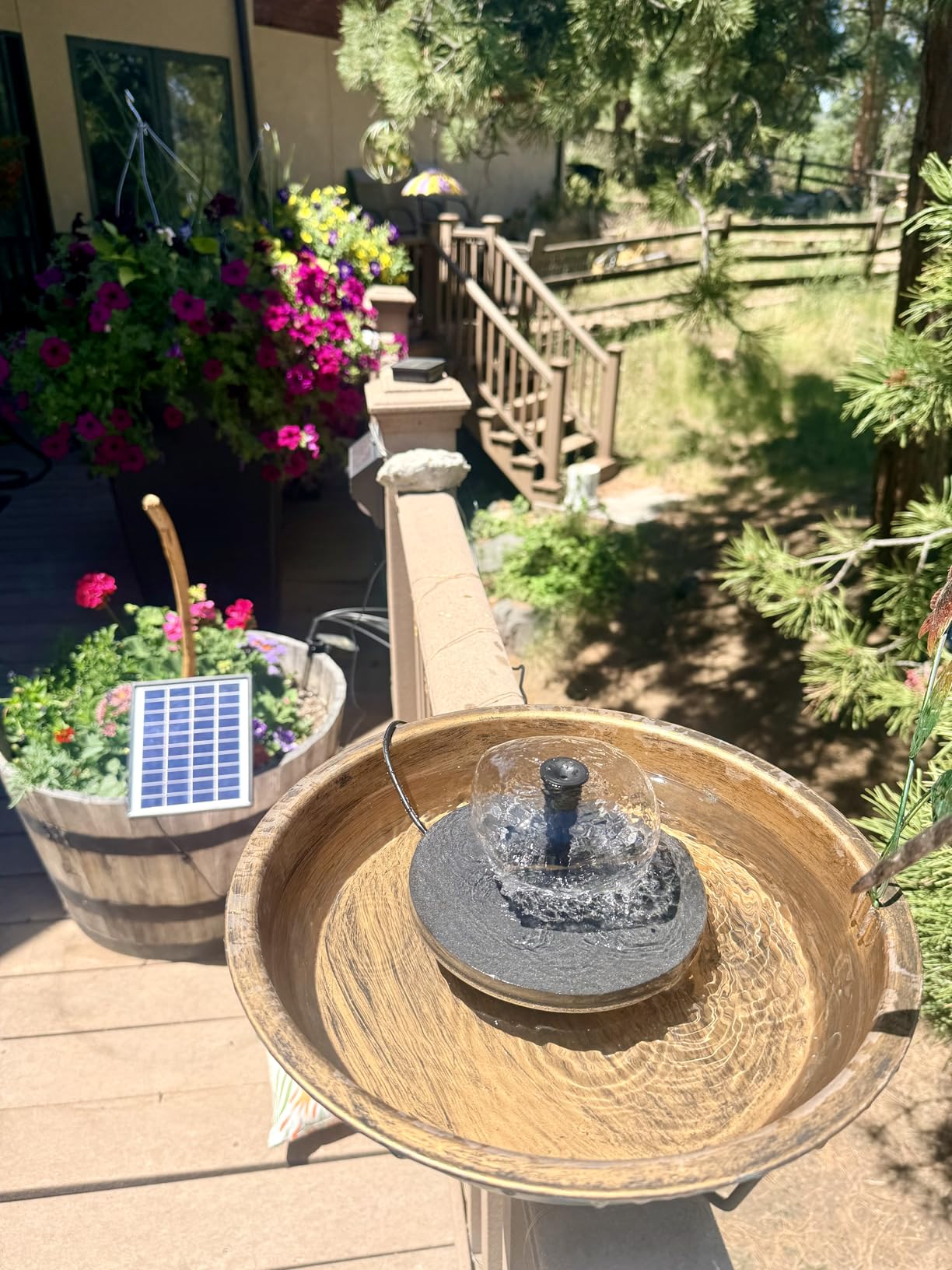POPOSOAP 6.5W Solar Fountain Pump for Bird Bath Built-in 3000mAh Battery Backup, DIY Solar Water Fountain with Double-Layer Nozzles & Dry-Run Protection 5Ft Tubing for Ponds, Bird Bath, Water Features customer photo 1