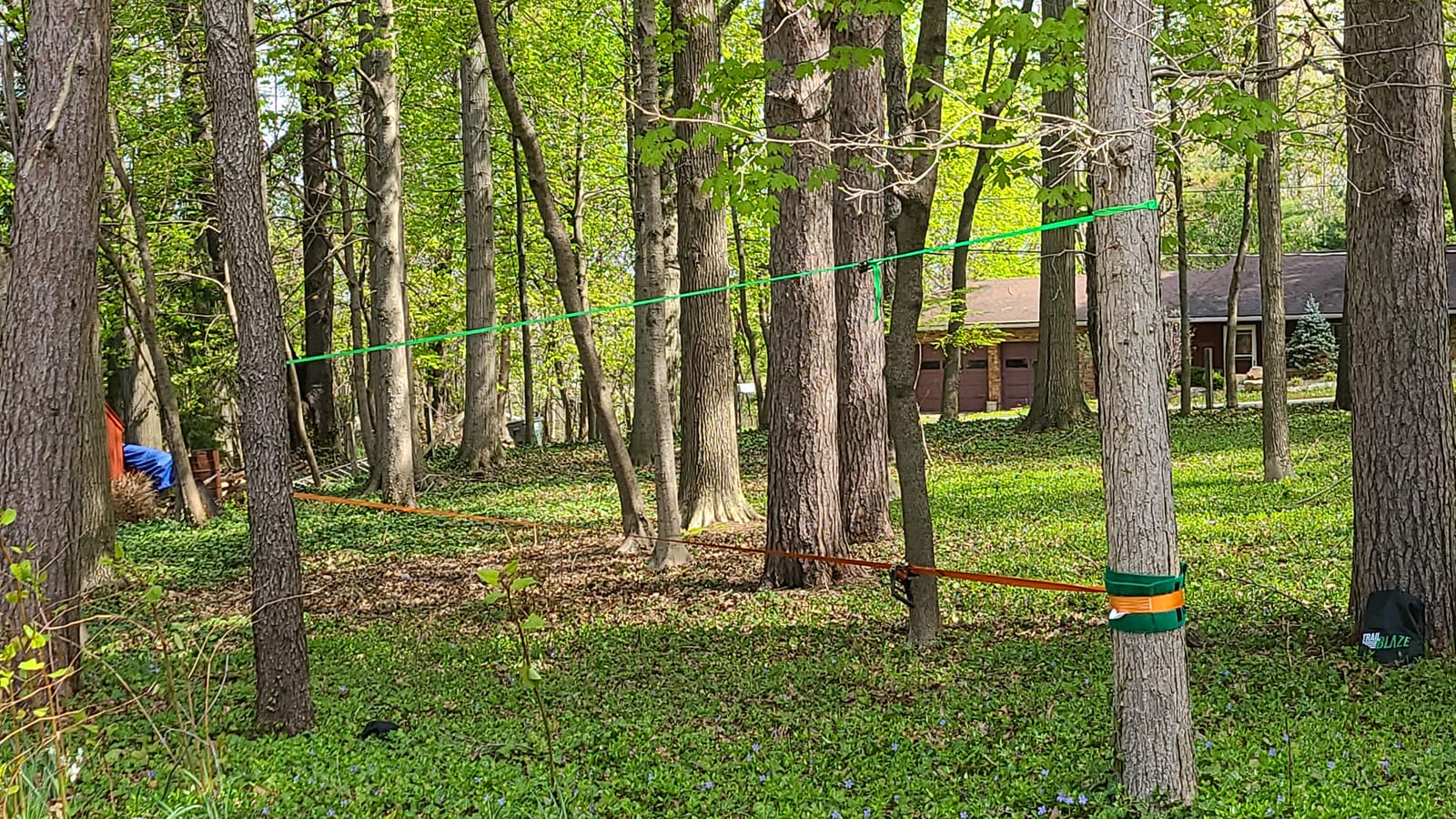 Essential Slackline Kit for Kids & Adults - 60ft Ninja Line (Orange) | 300 lb Capacity, Extra-Wide Tree Protectors, 3 Year Warranty customer photo 2