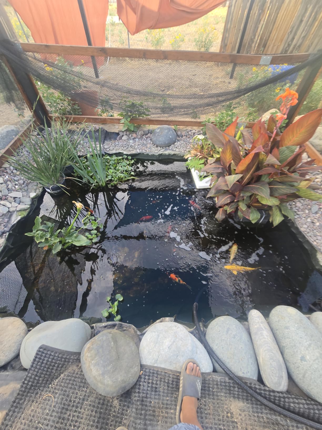 VIVOHOME 2640GPH Auto-Cleaning Pressurized Bio Pond Filter with 18W Light | Efficient Filtration with Timer, Multi-Size Adapter, Koi Ponds up to 1585Gallons, Ornamental Ponds up to 3170Gallons customer photo 2